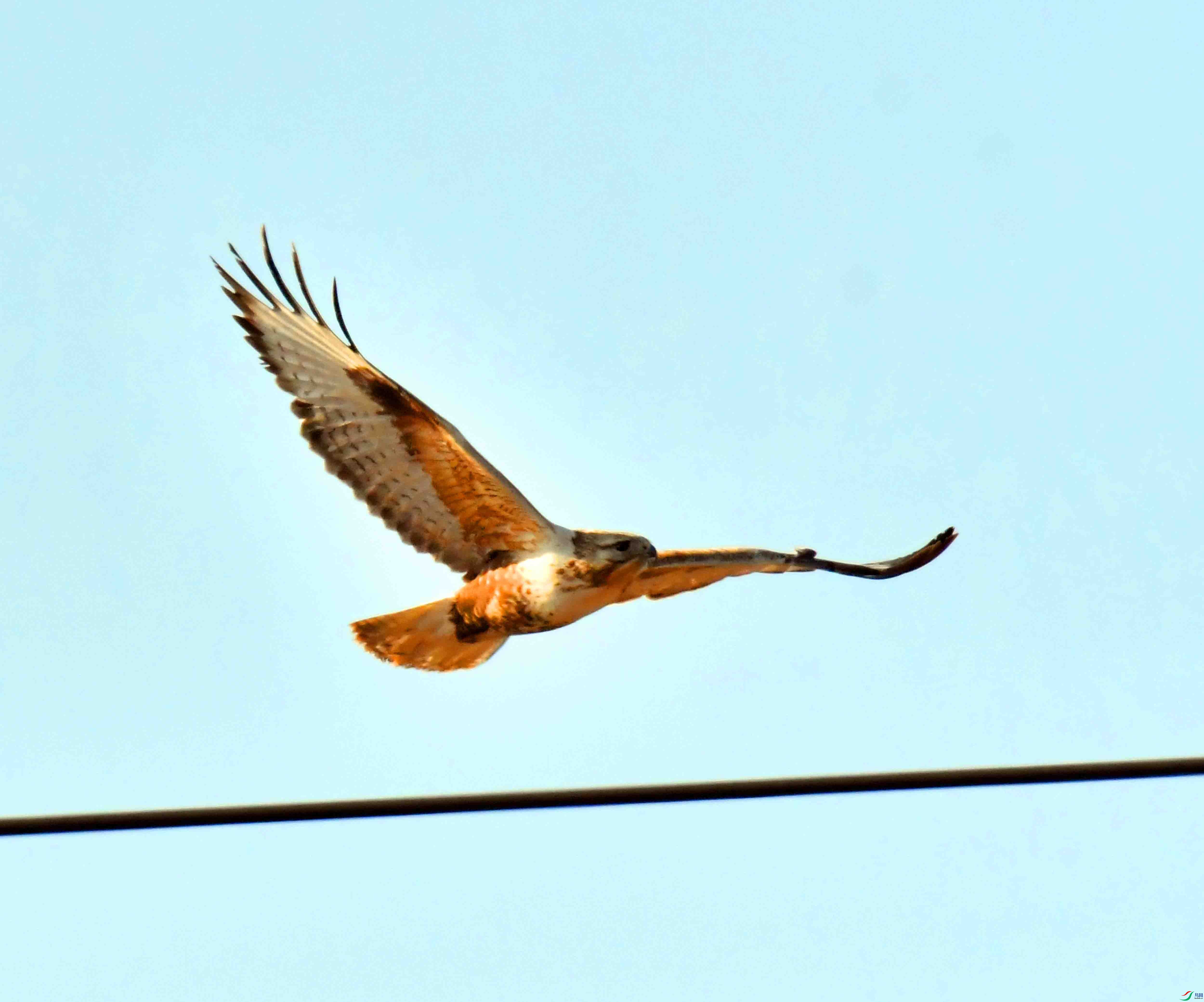 DSC_1428.JPG