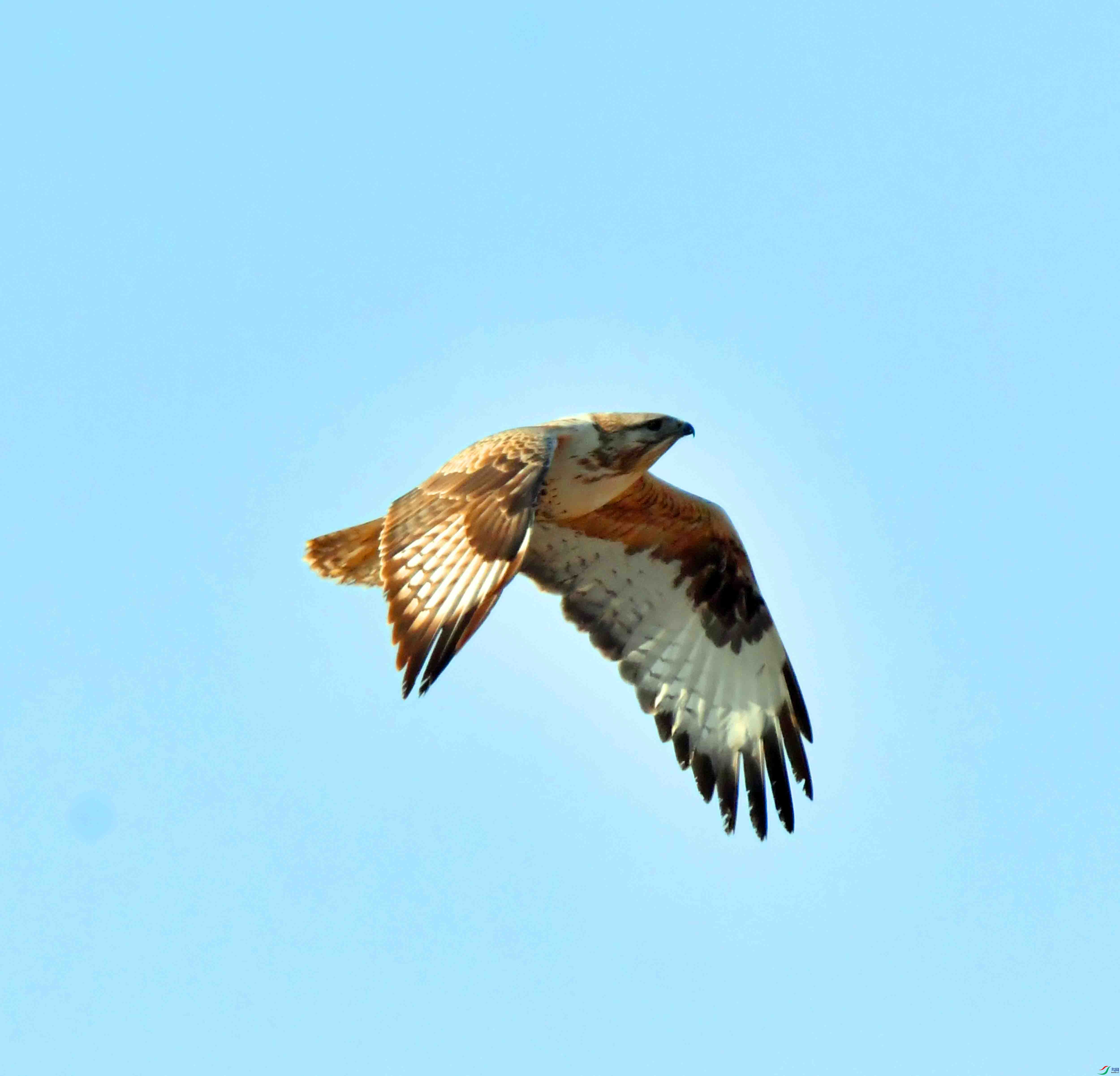 DSC_1431.JPG