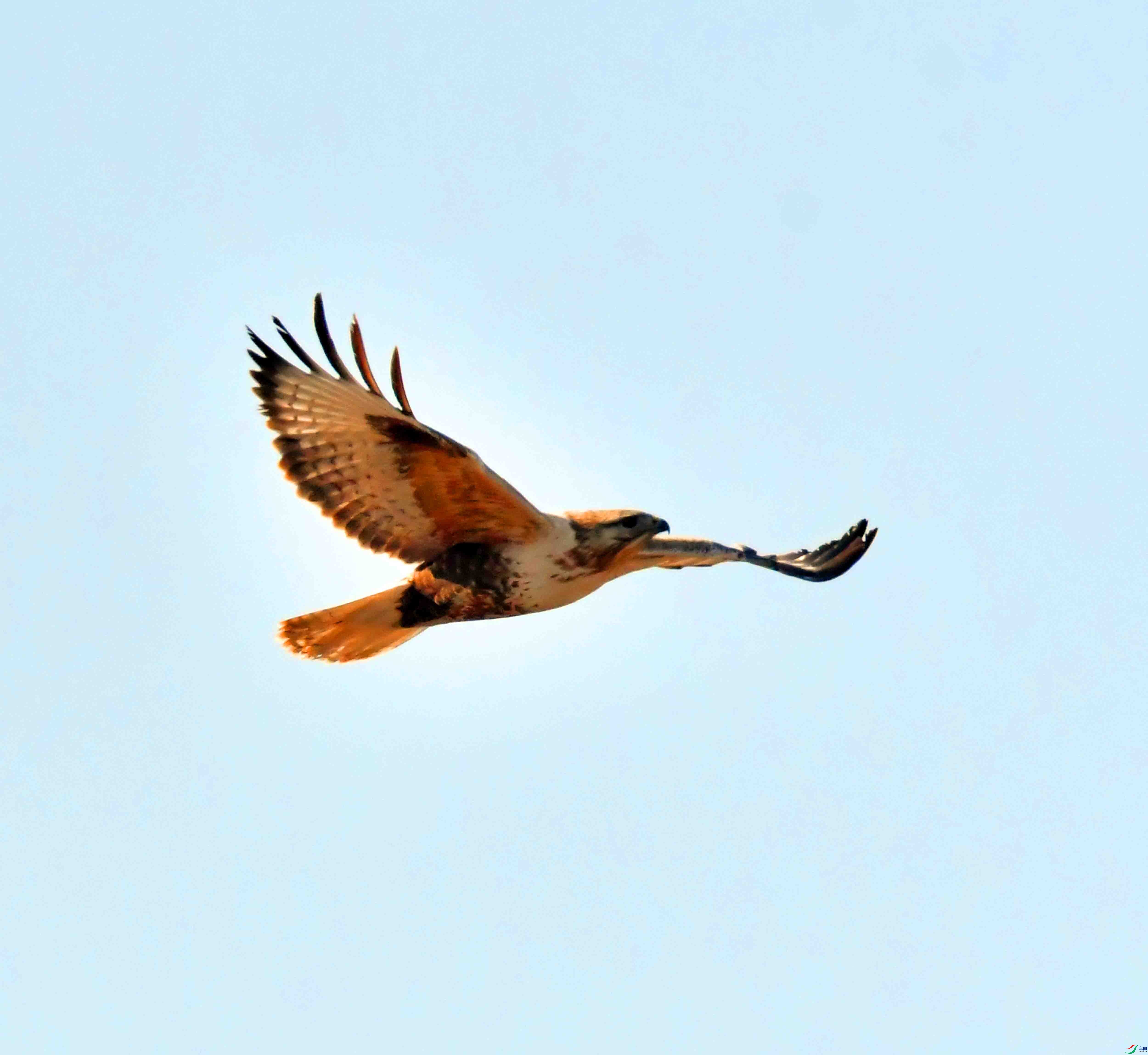 DSC_1430.JPG