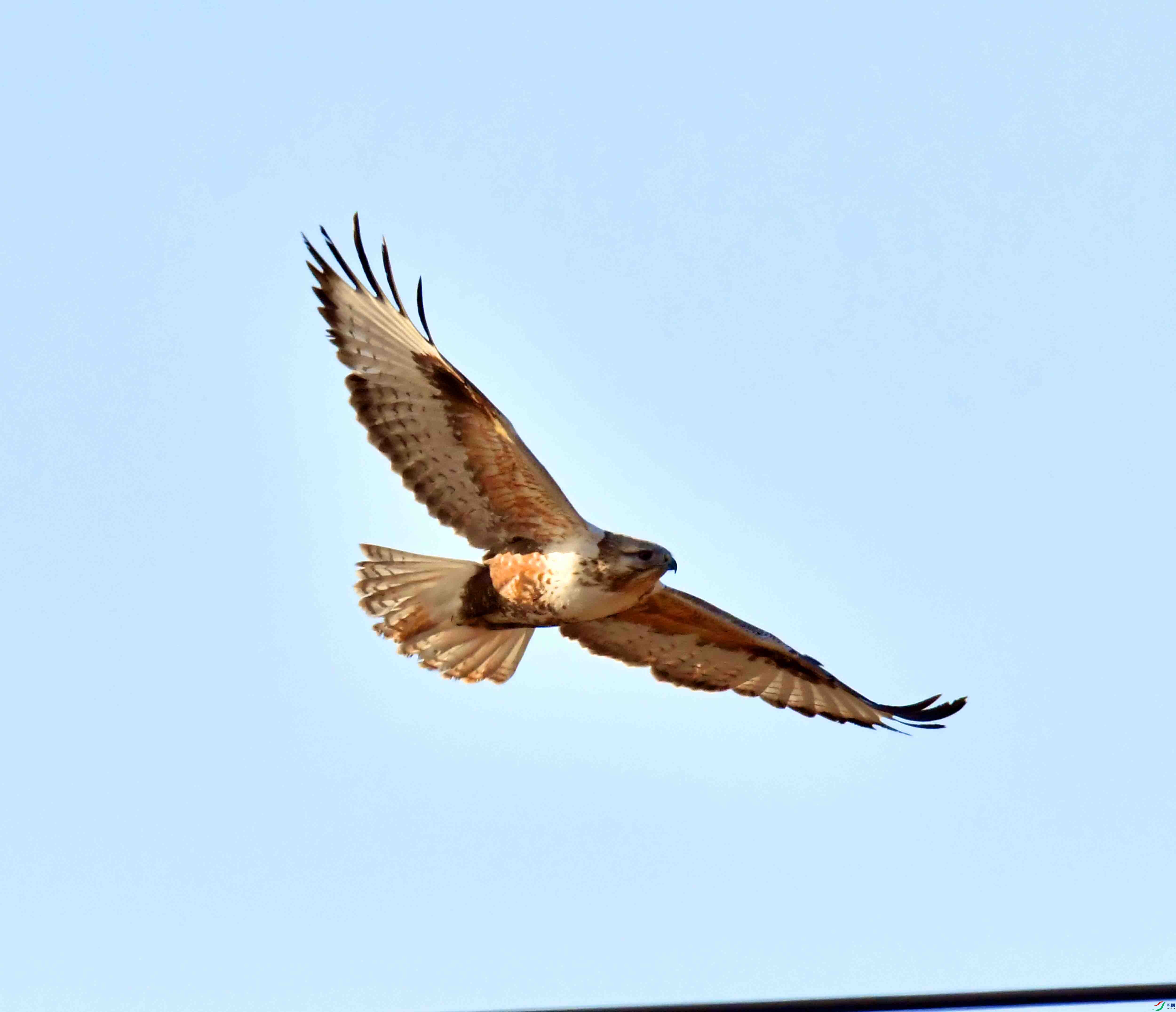 DSC_1440.JPG