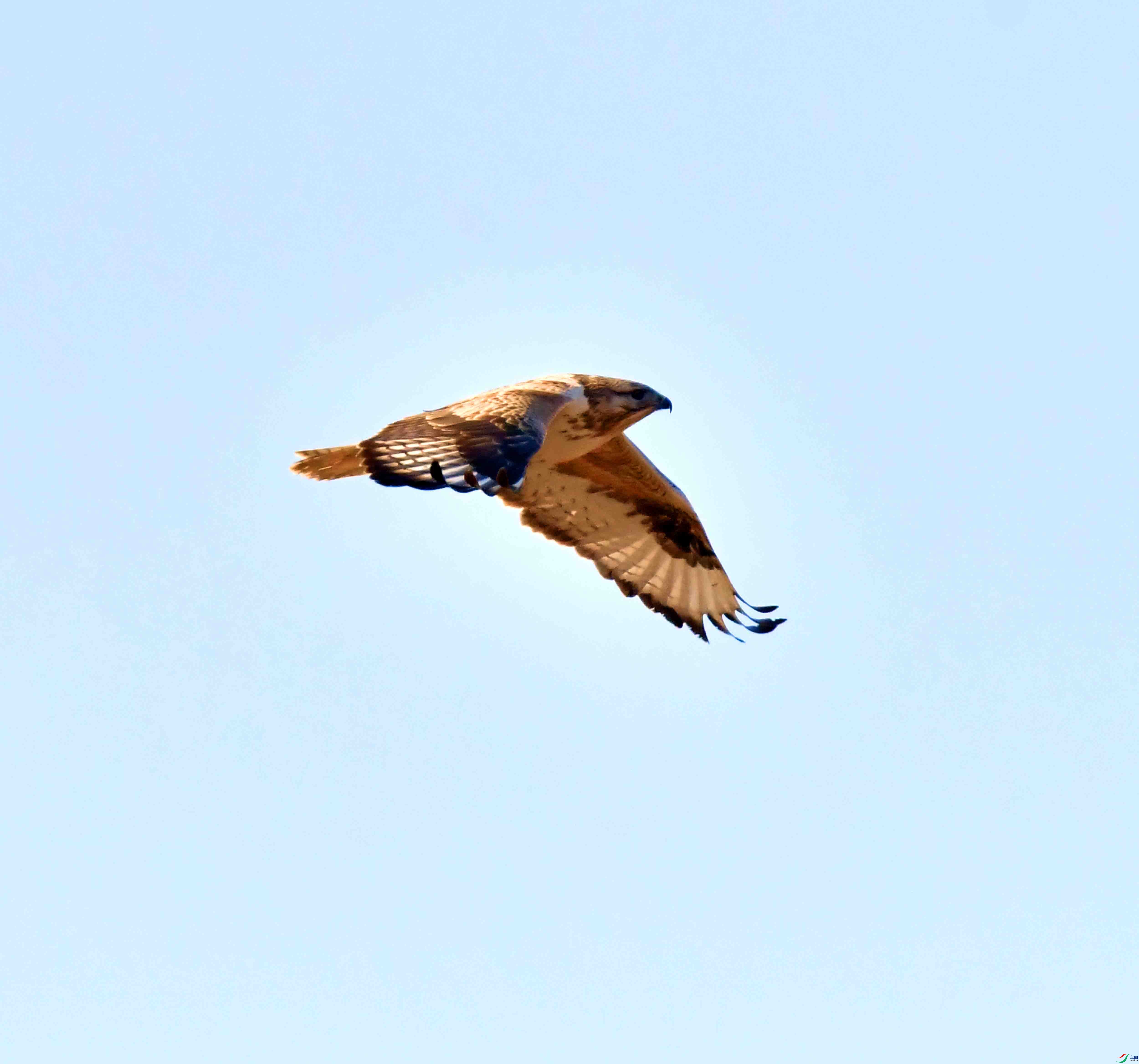 DSC_1443.JPG