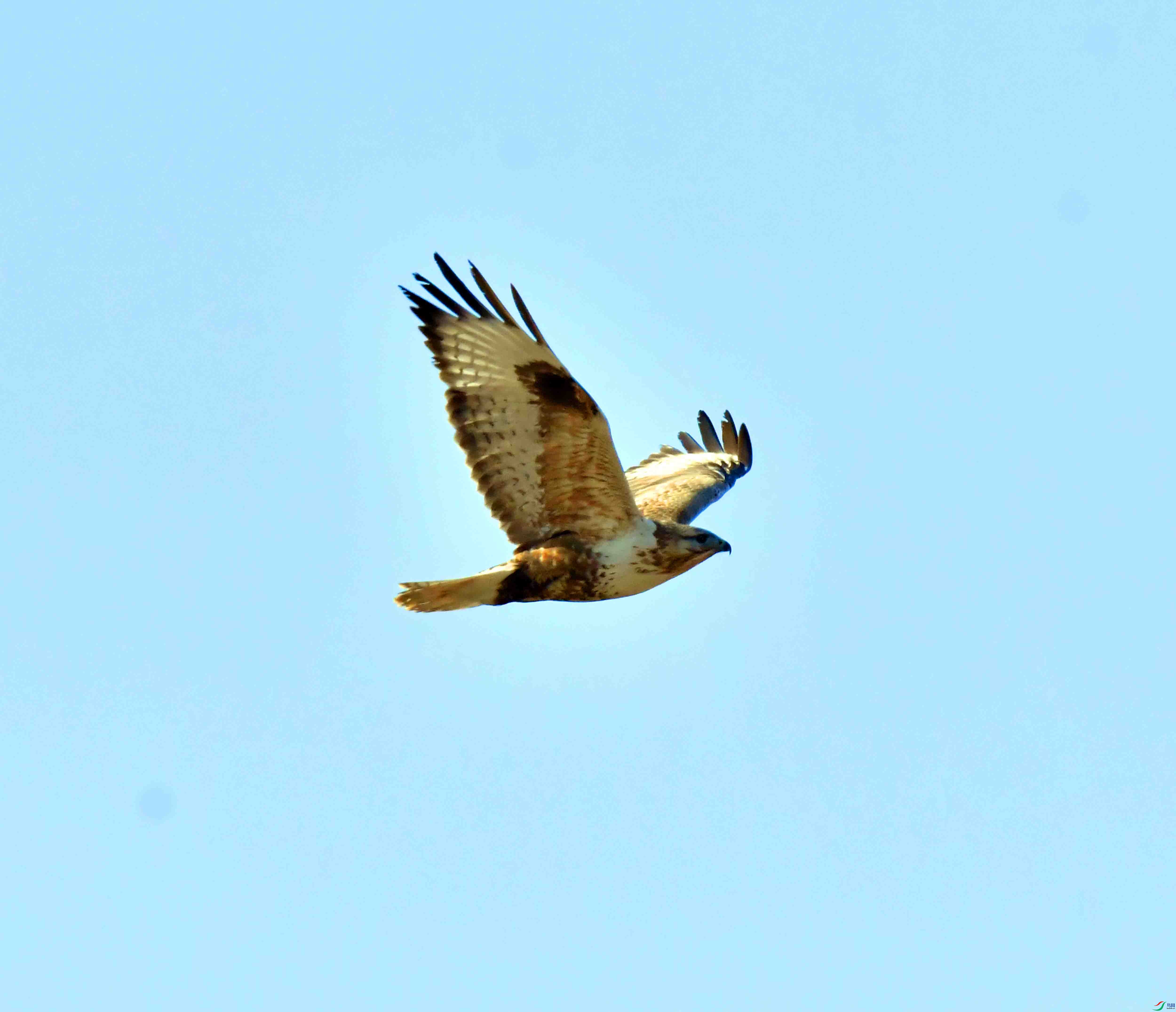 DSC_1442.JPG