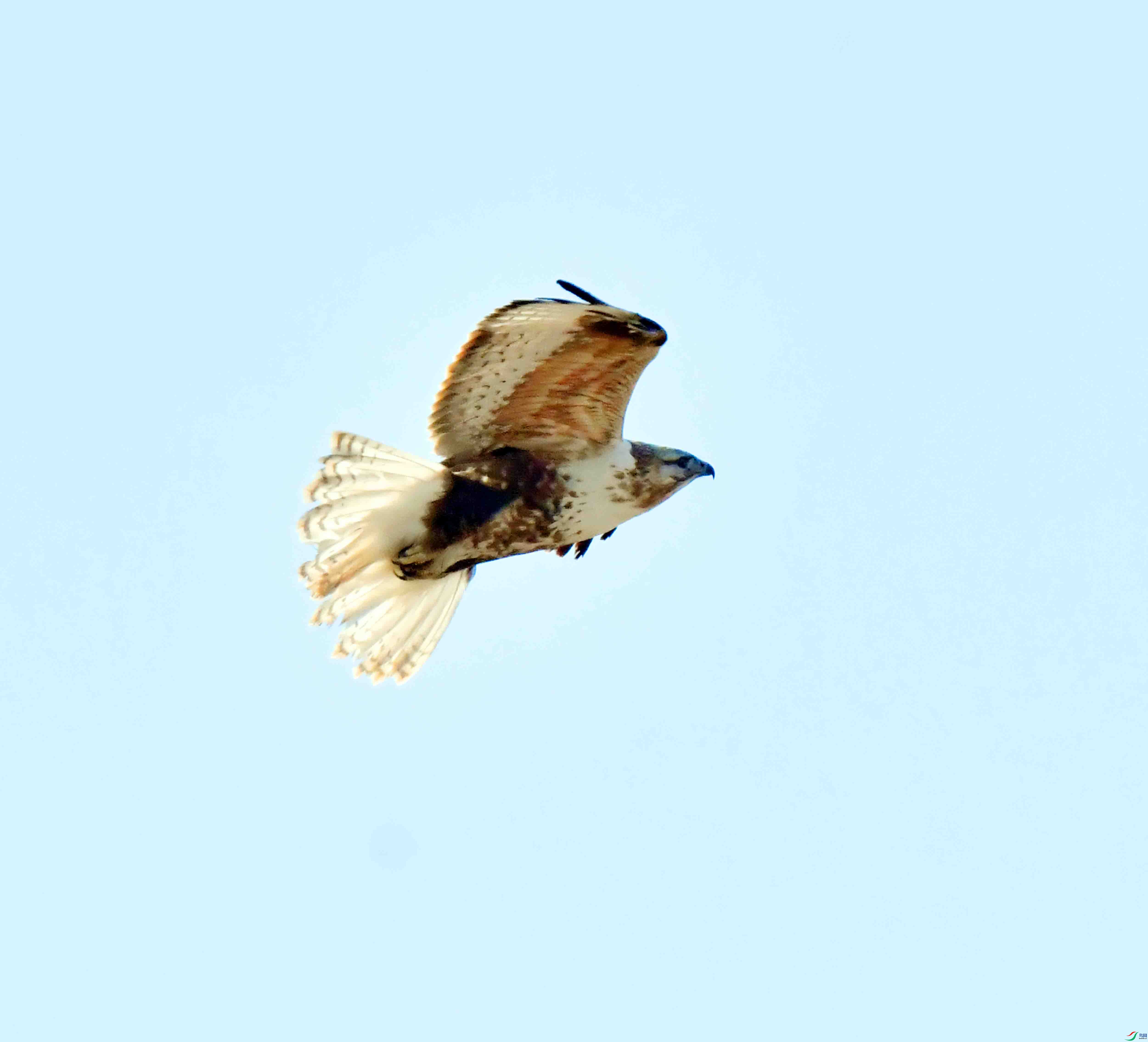 DSC_1445.JPG