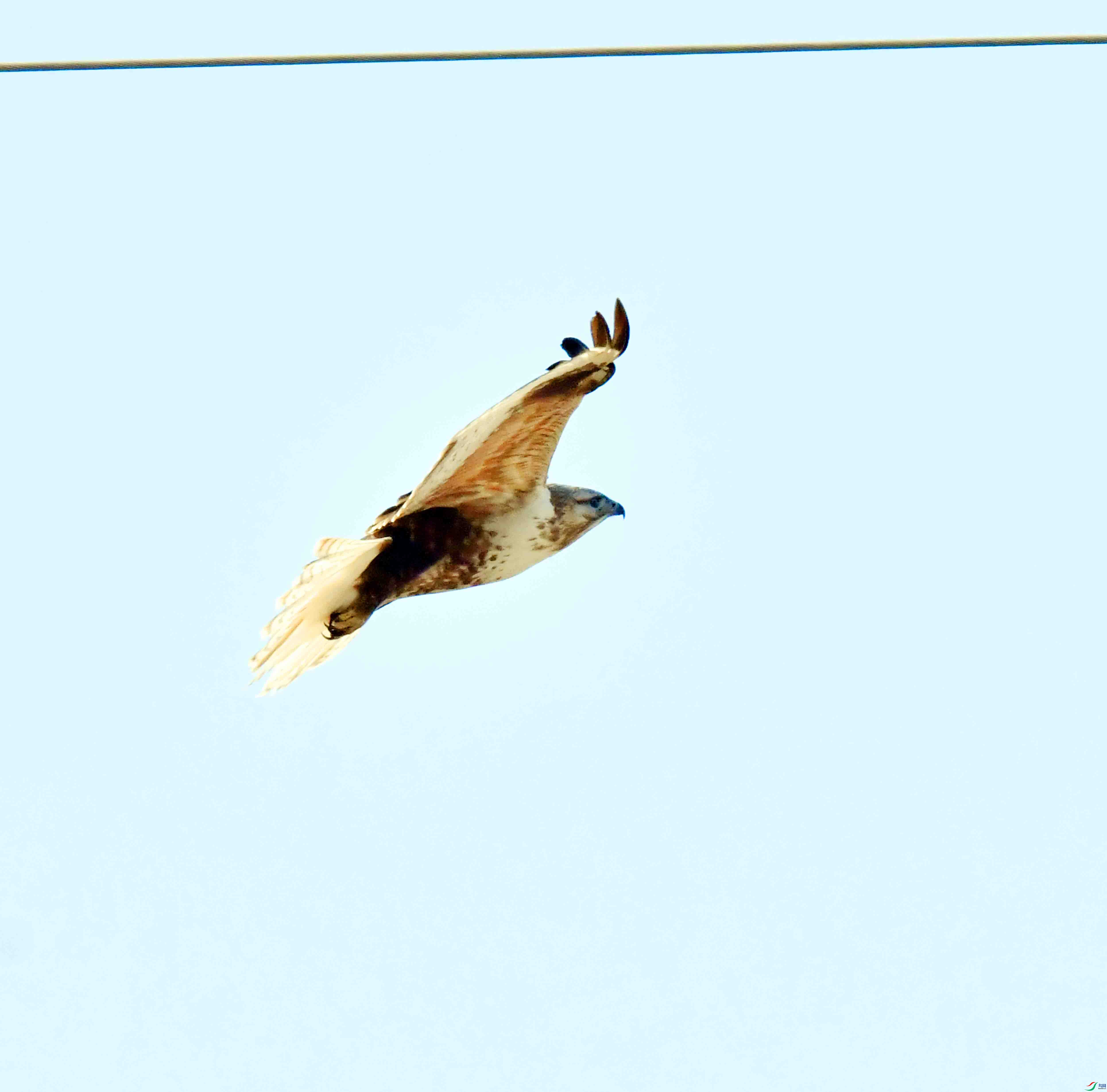 DSC_1446.JPG