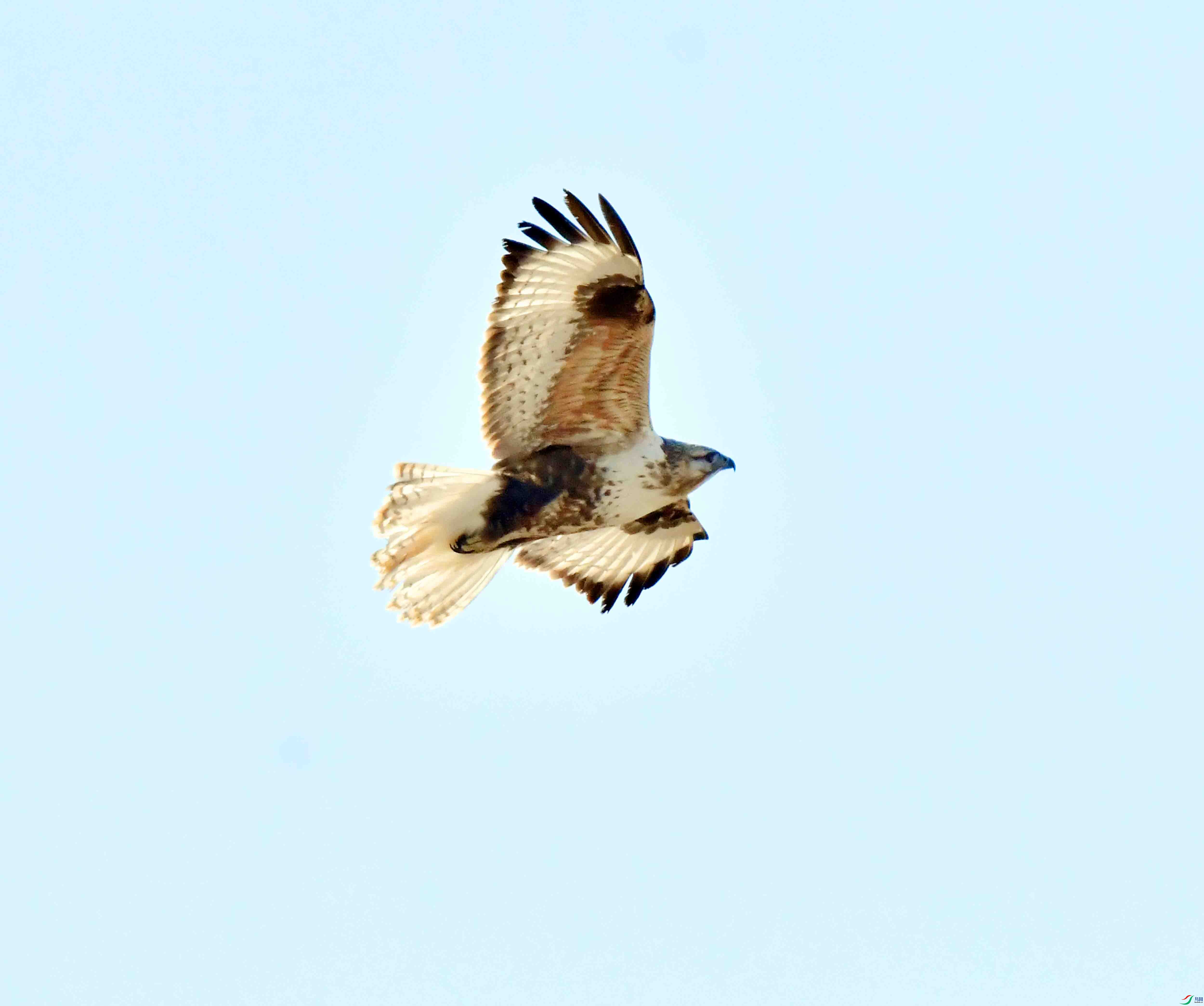 DSC_1444.JPG