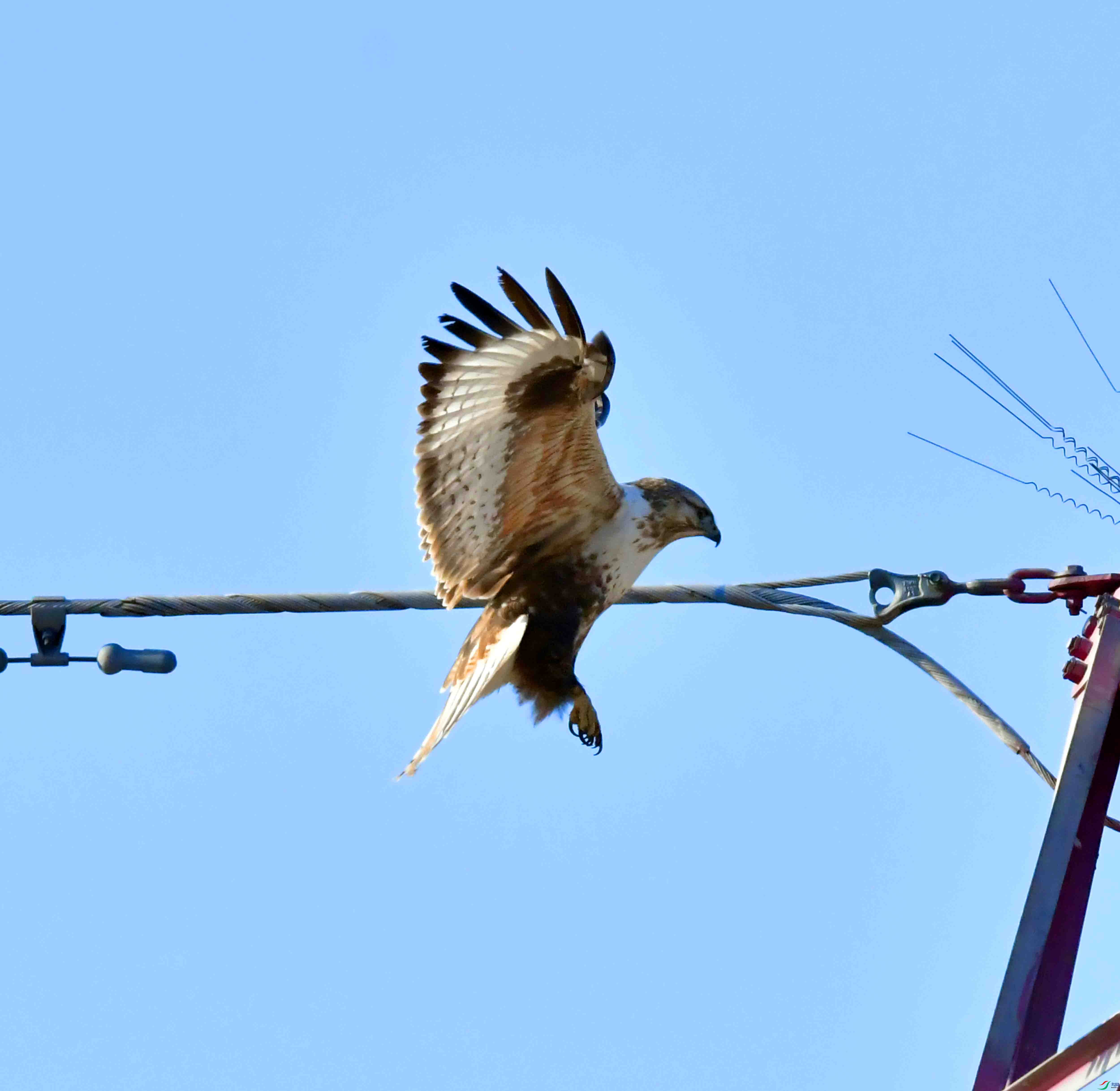 DSC_1447.JPG