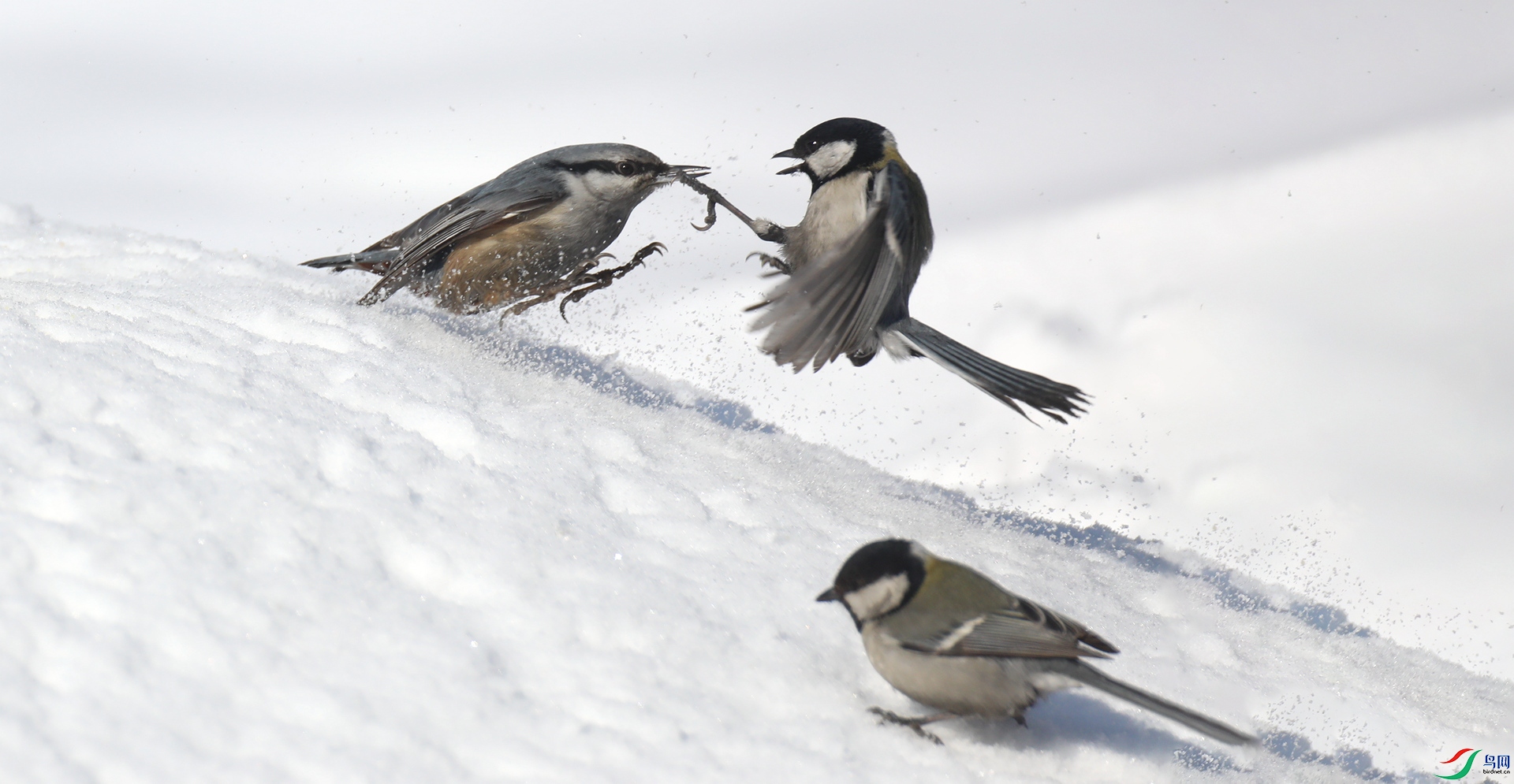 9G8A8473 ����.jpg