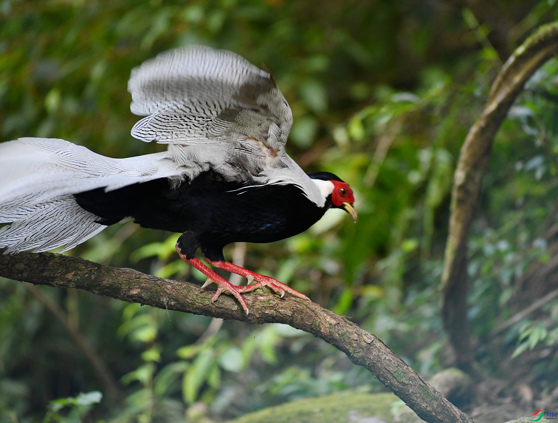 DSC_5448.jpg