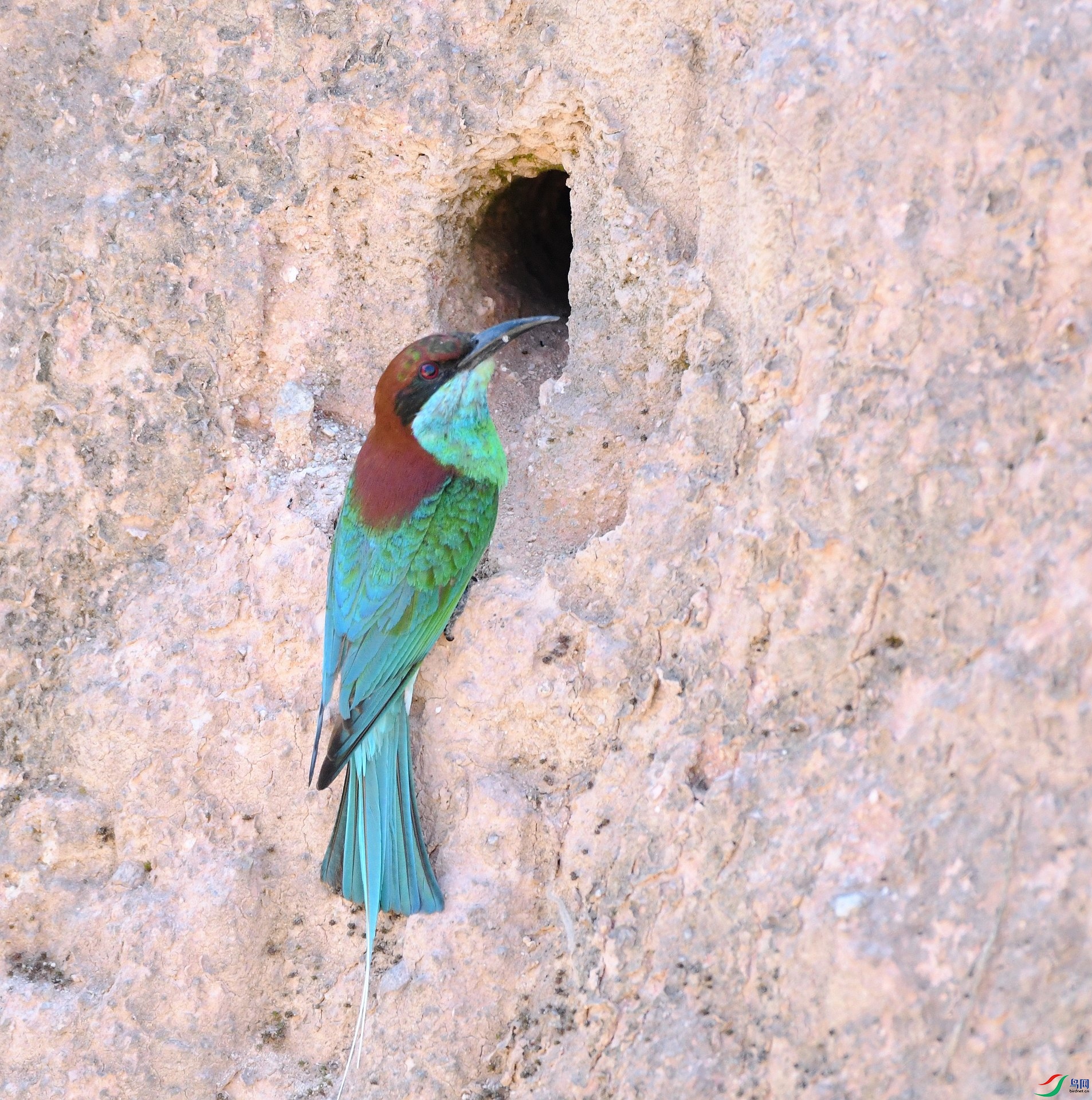 DSC_6384.jpg