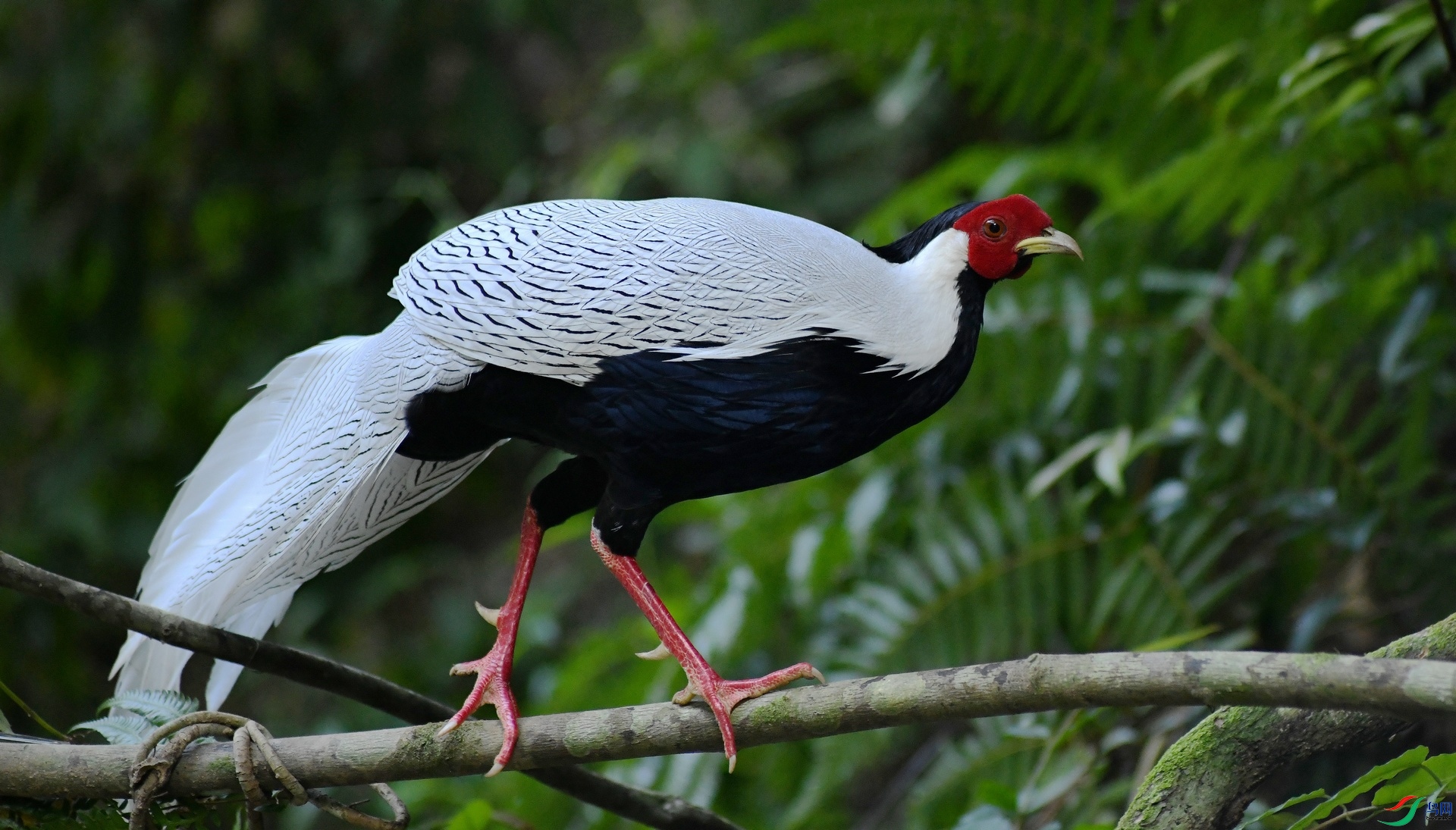 DSC_6318.jpg