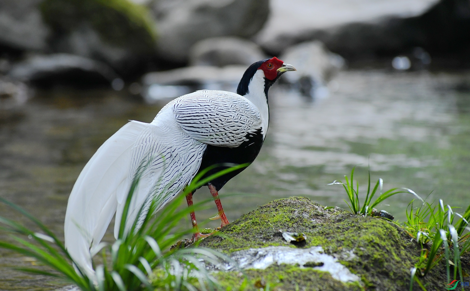DSC_5902.jpg