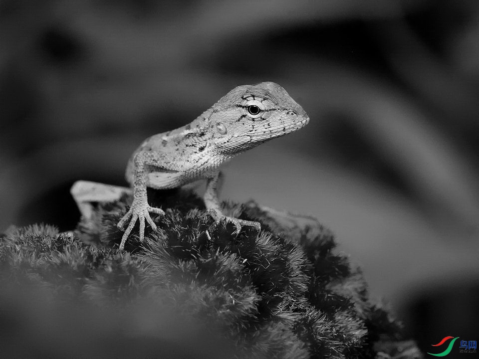 DSC_8858.jpg