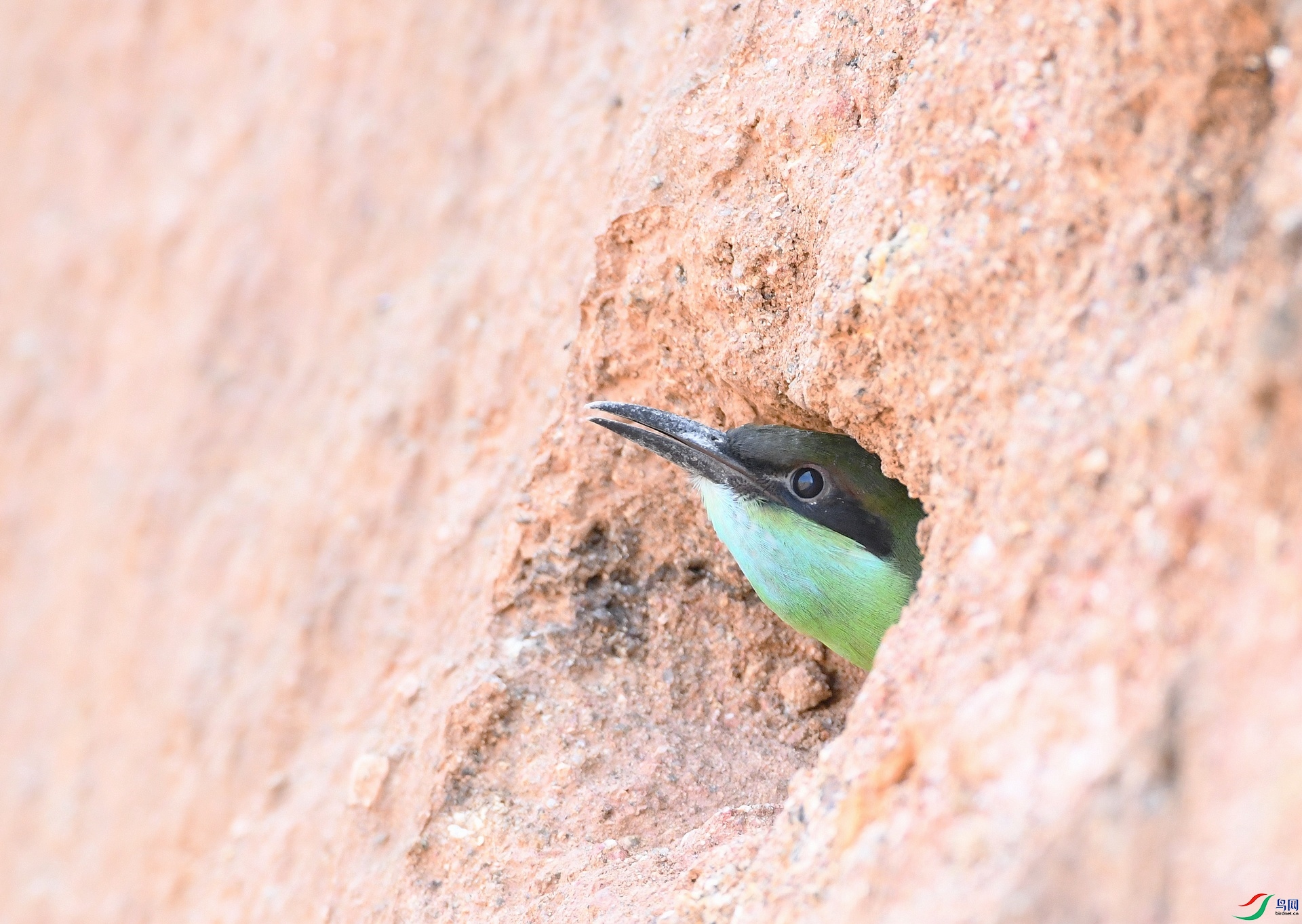 DSC_7911.jpg