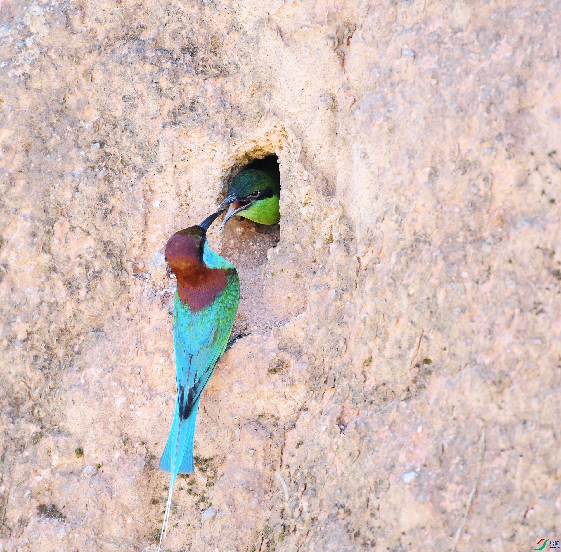 DSC_8119.jpg