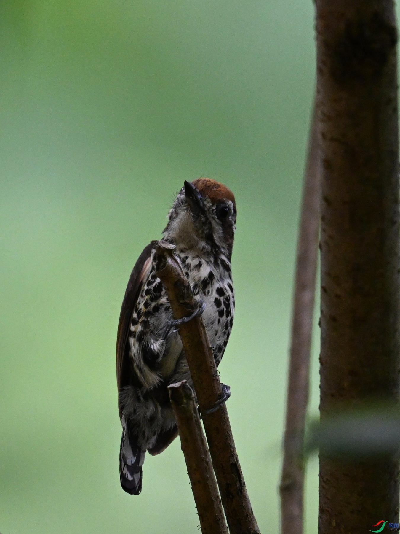 DSC_8563.JPG