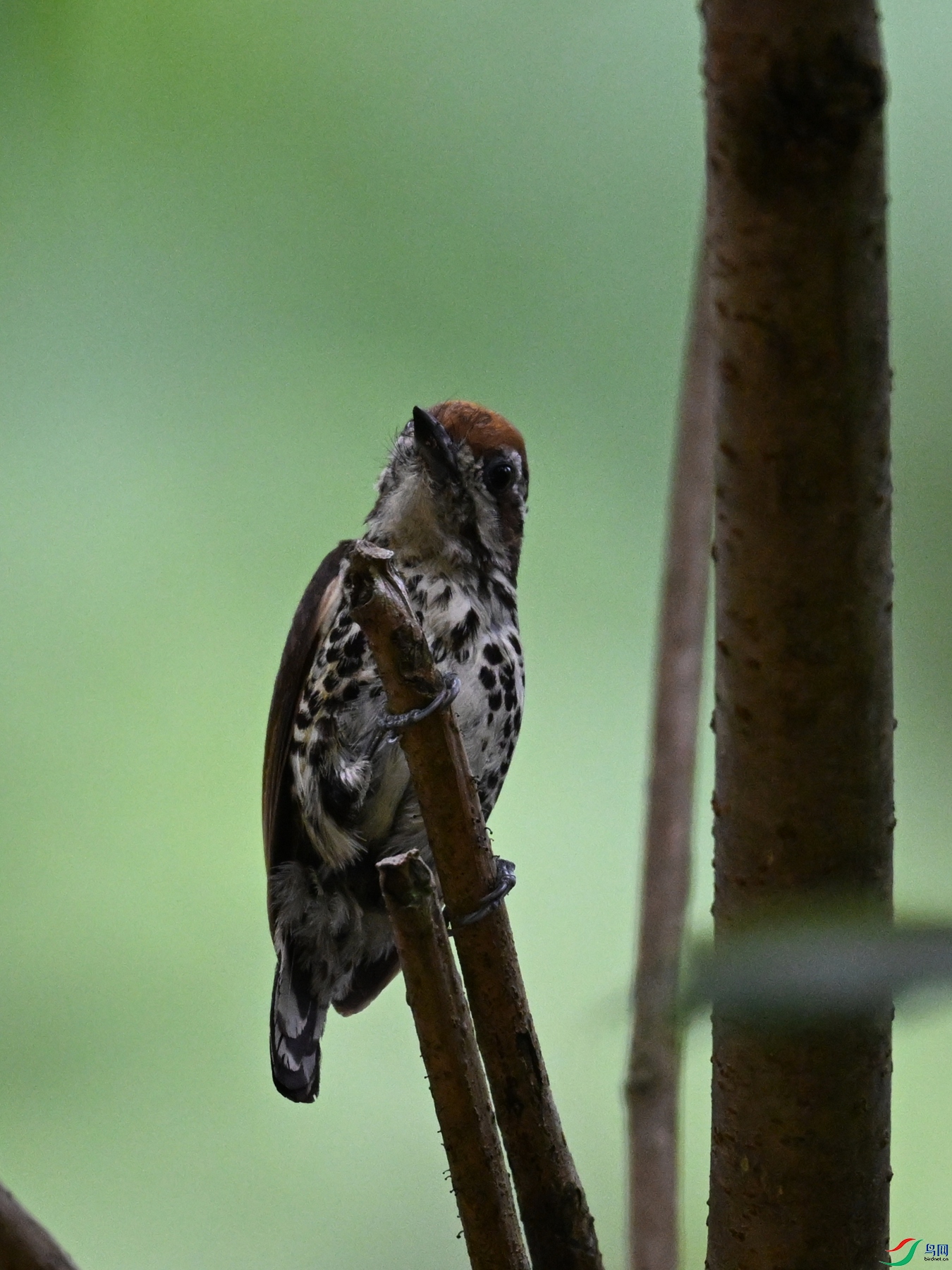 DSC_8565.JPG