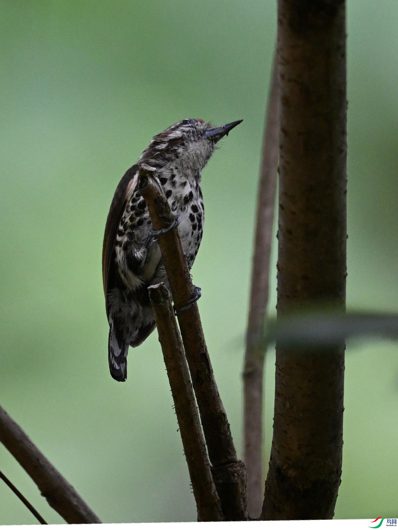 DSC_8574.JPG