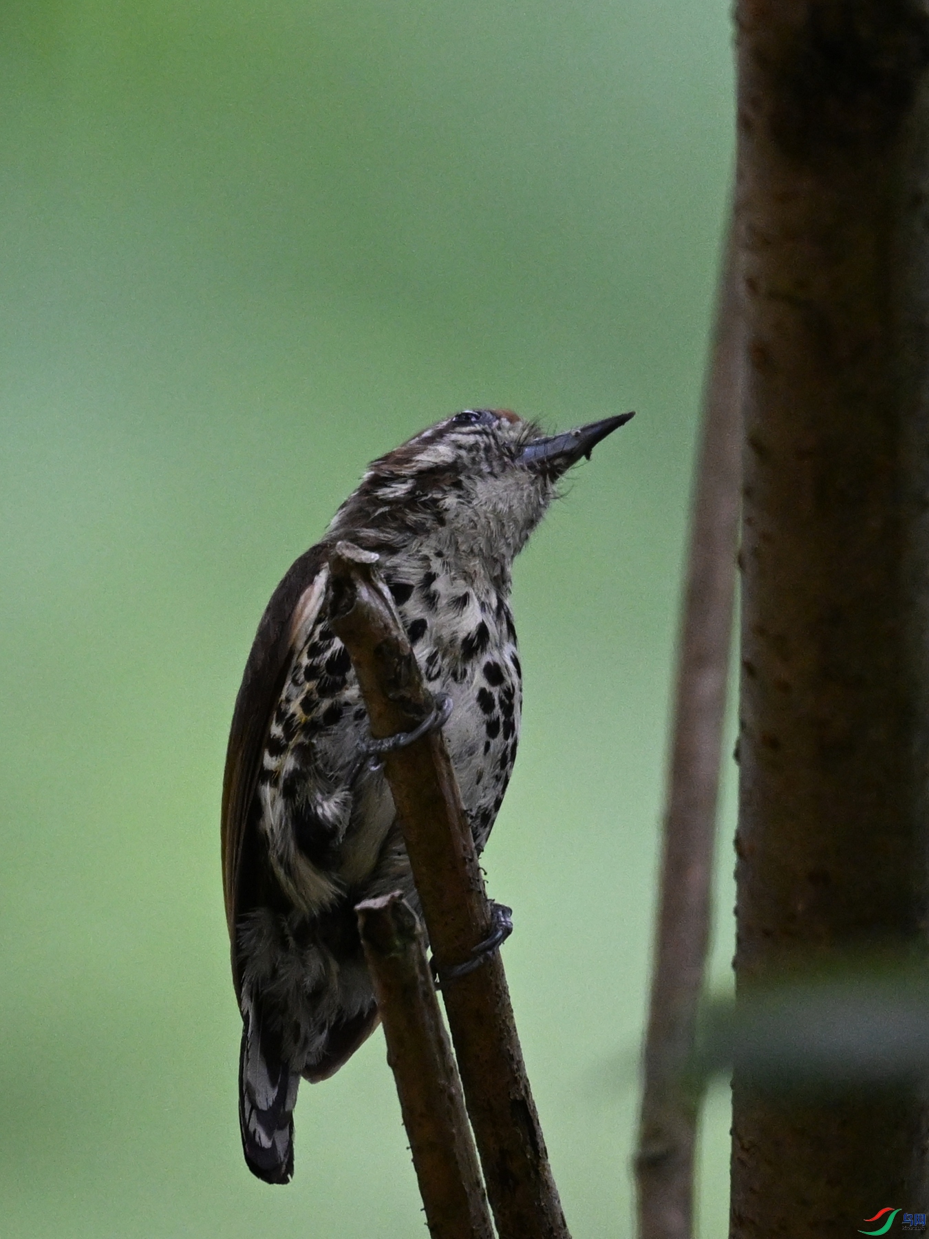 DSC_8573.JPG