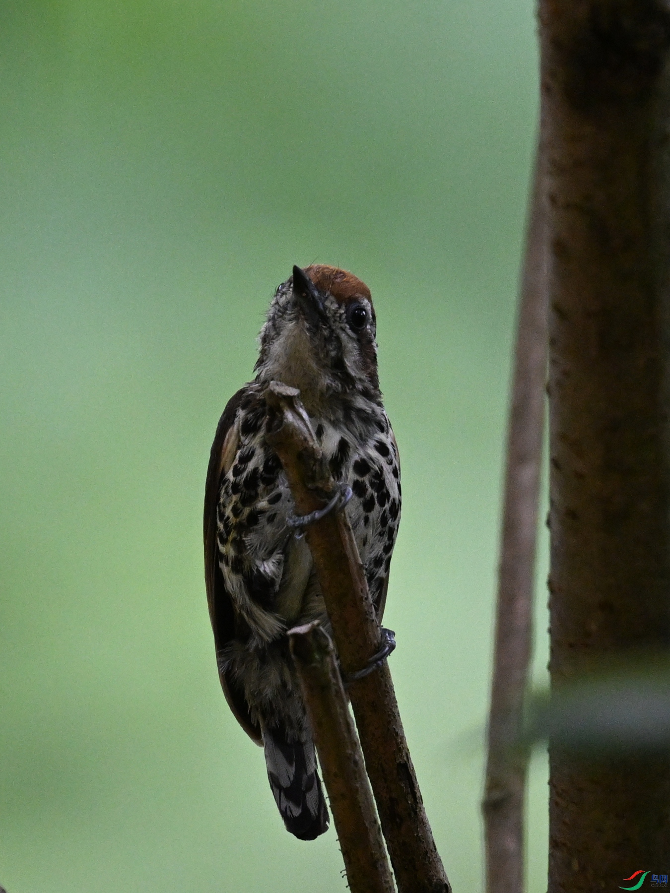 DSC_8579.JPG