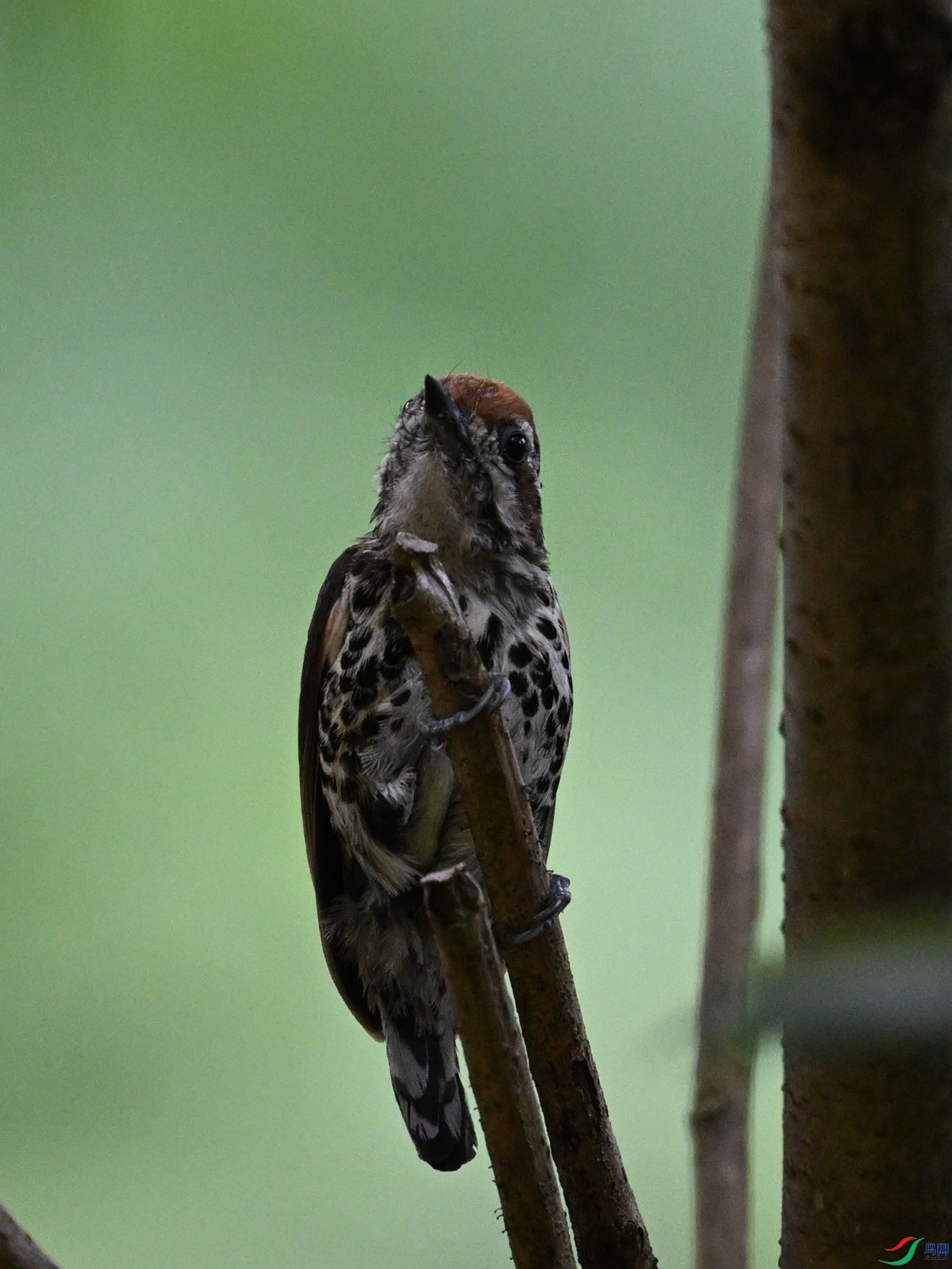 DSC_8578.JPG