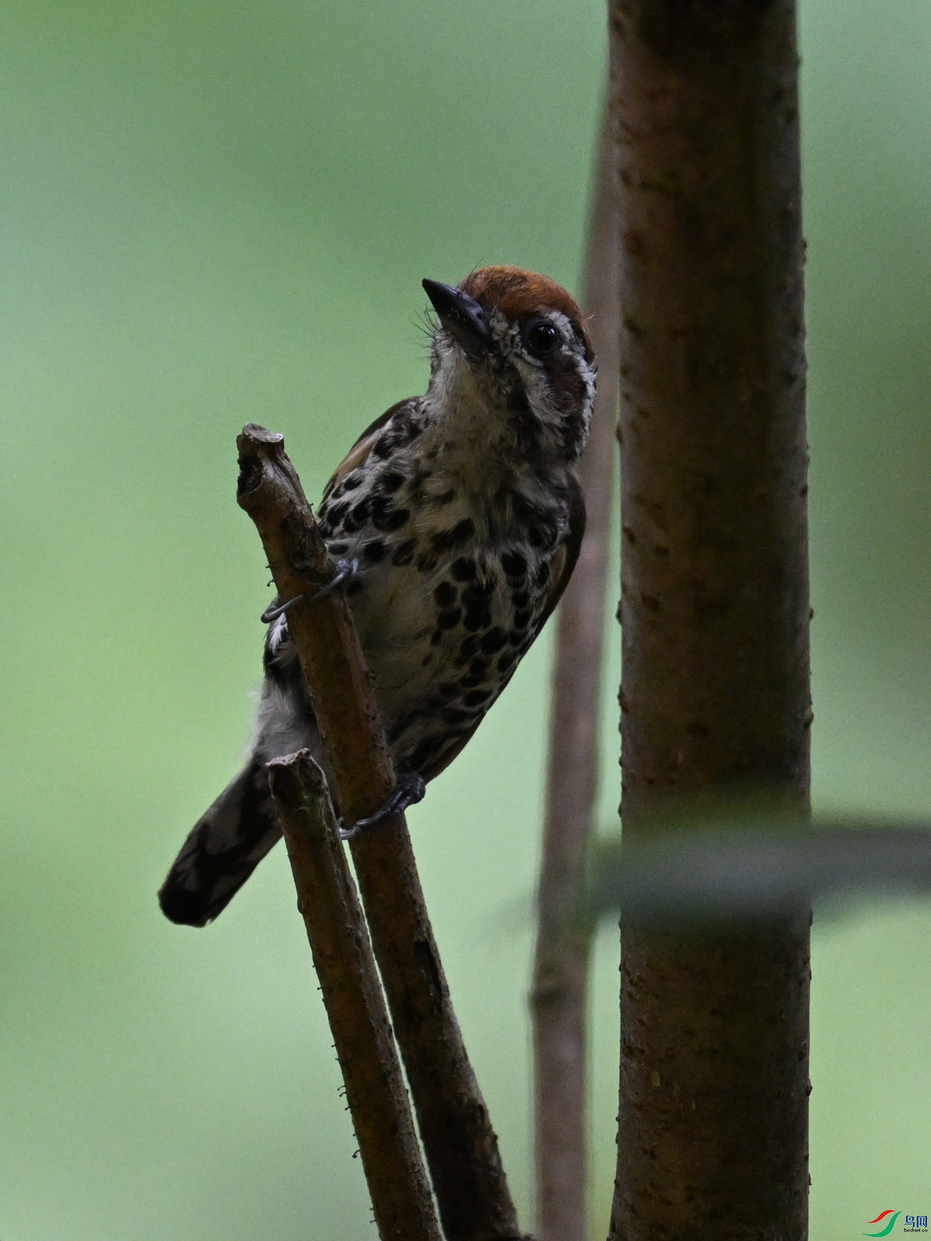 DSC_8582.JPG