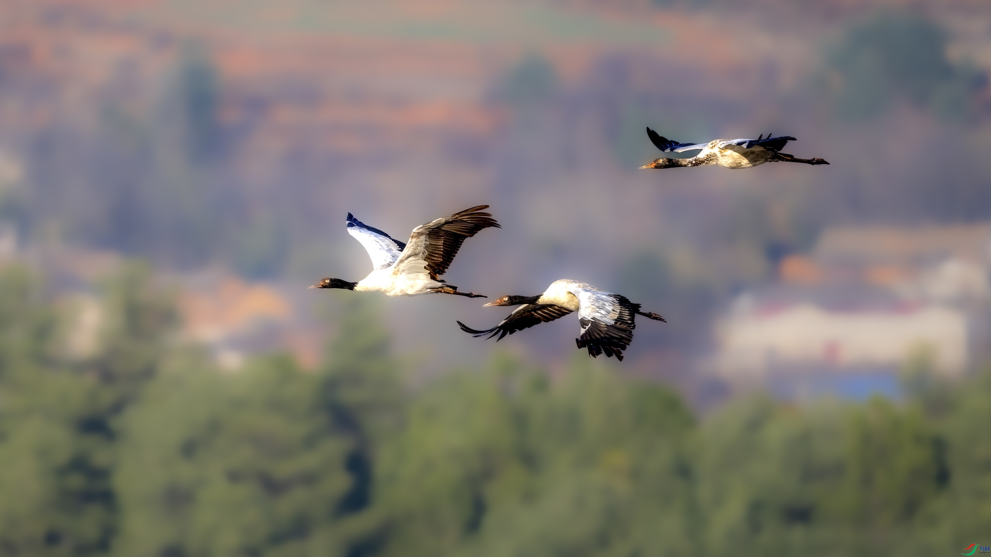 DSC_5830 ����_1.JPG