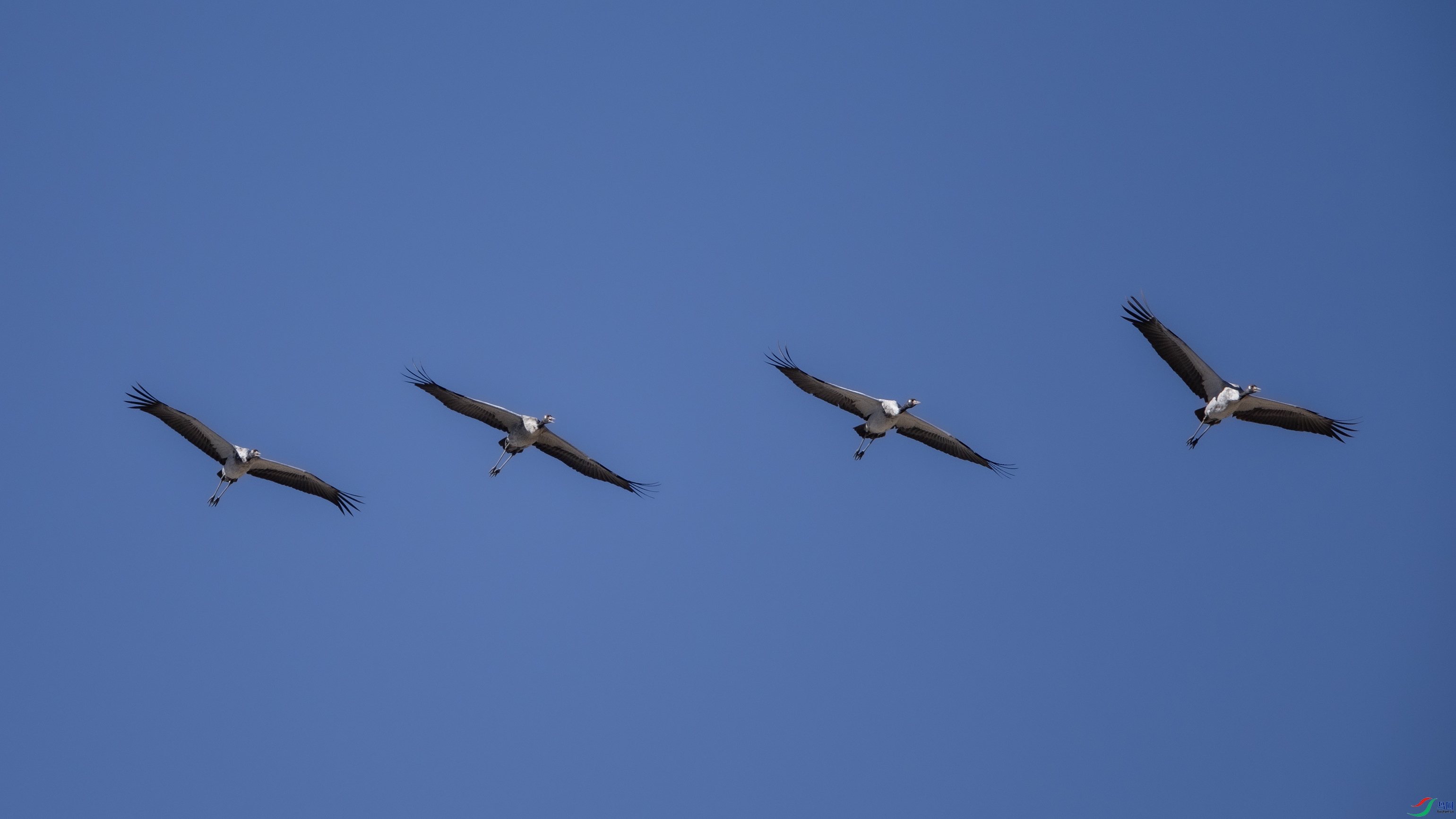 _O7A5254 ����4444.jpg