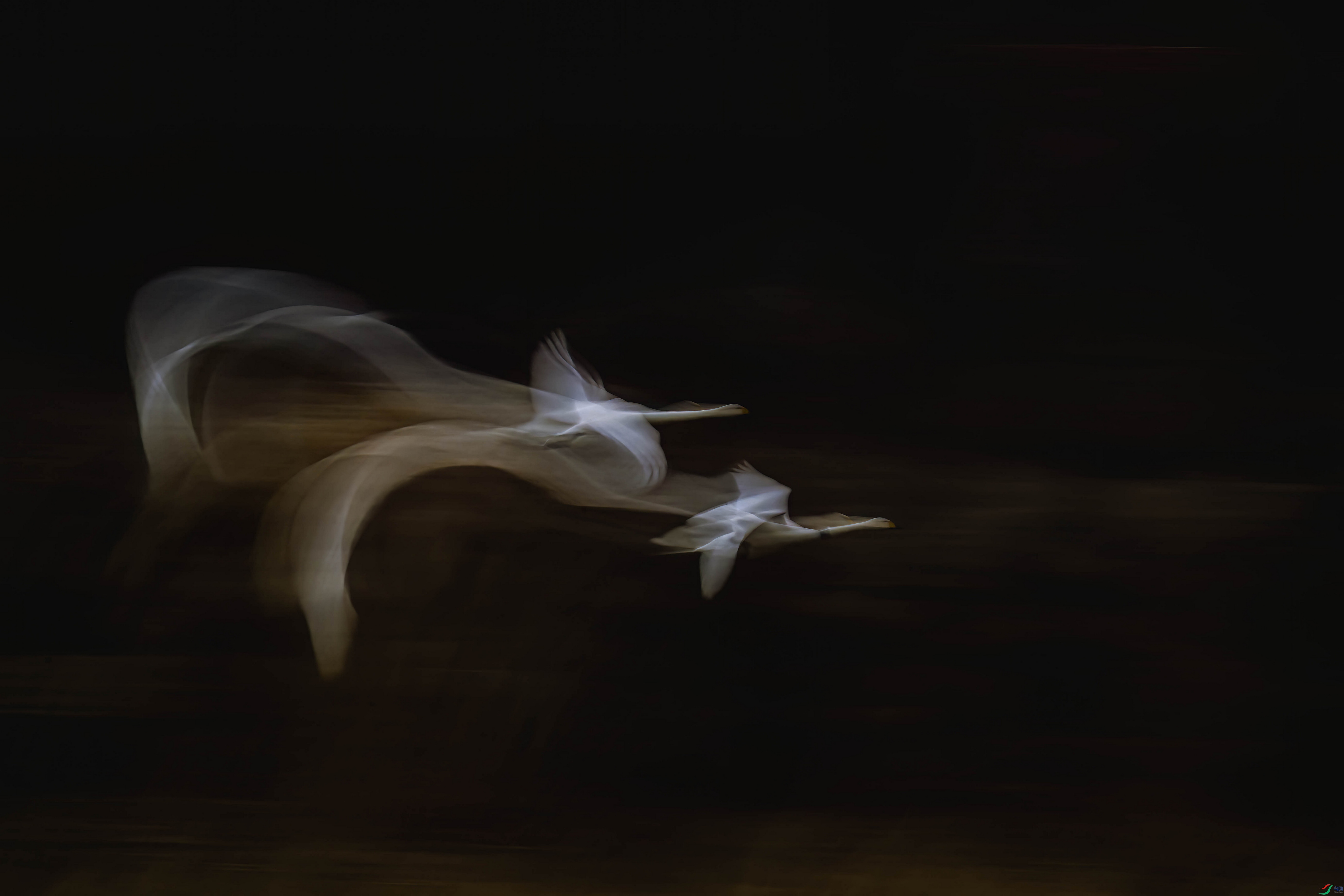 _DSC7488 ����F001N.jpg