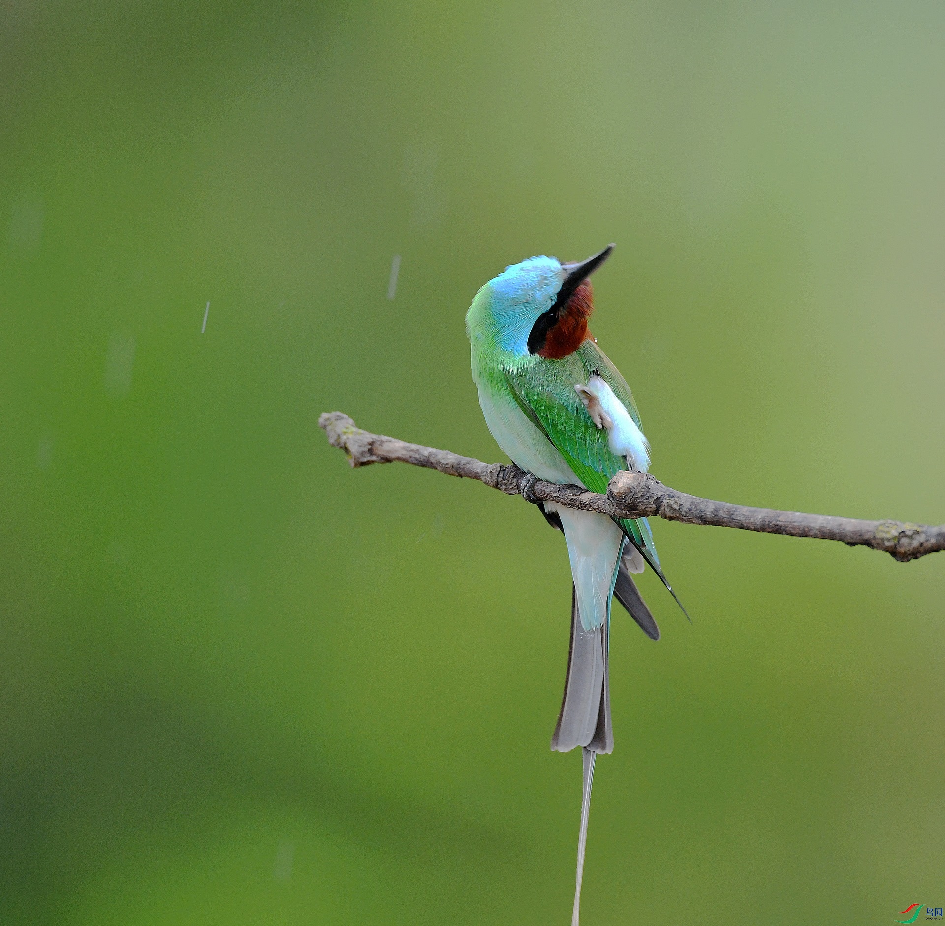 DSC_7924.jpg