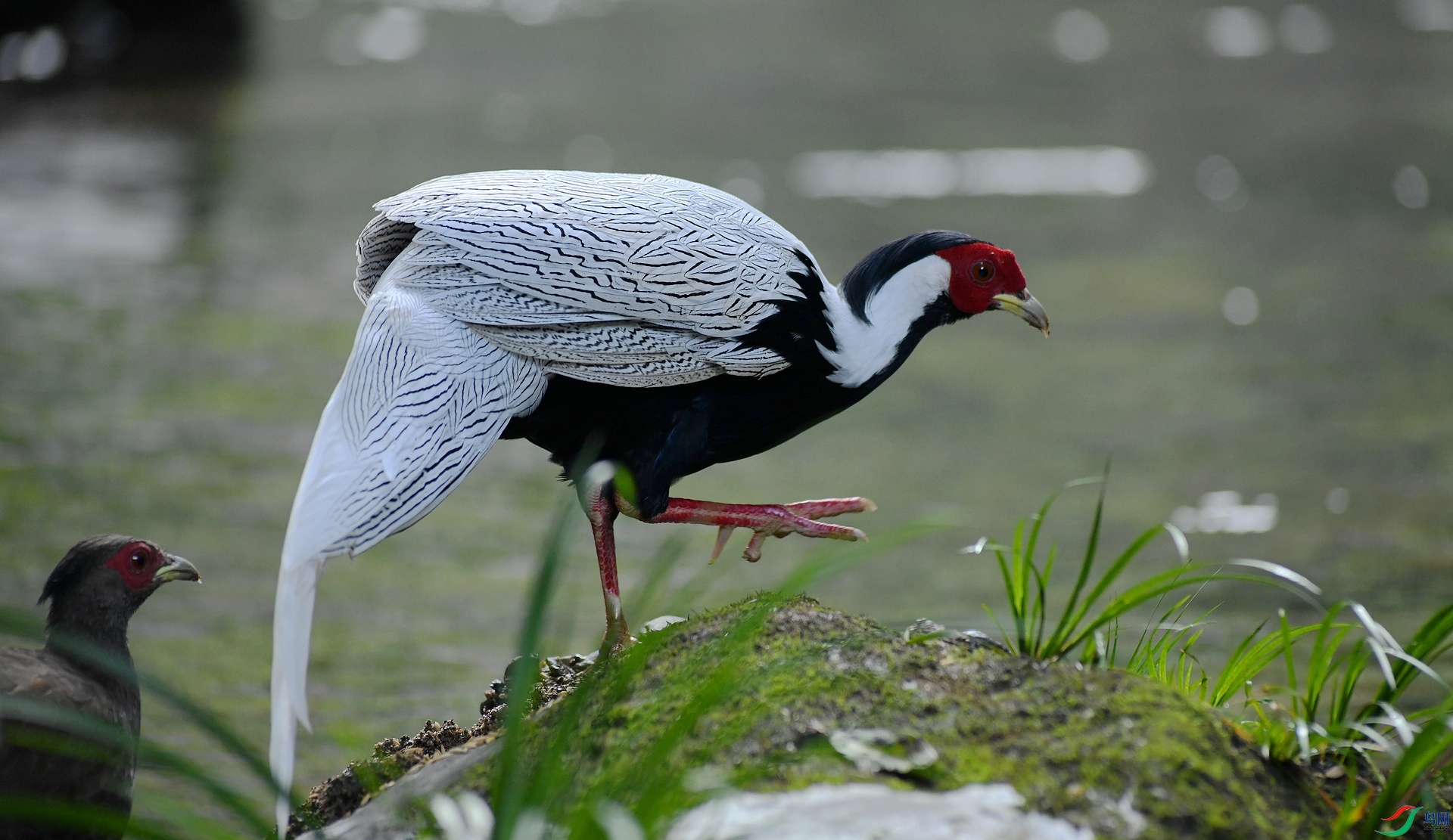 DSC_6575.jpg