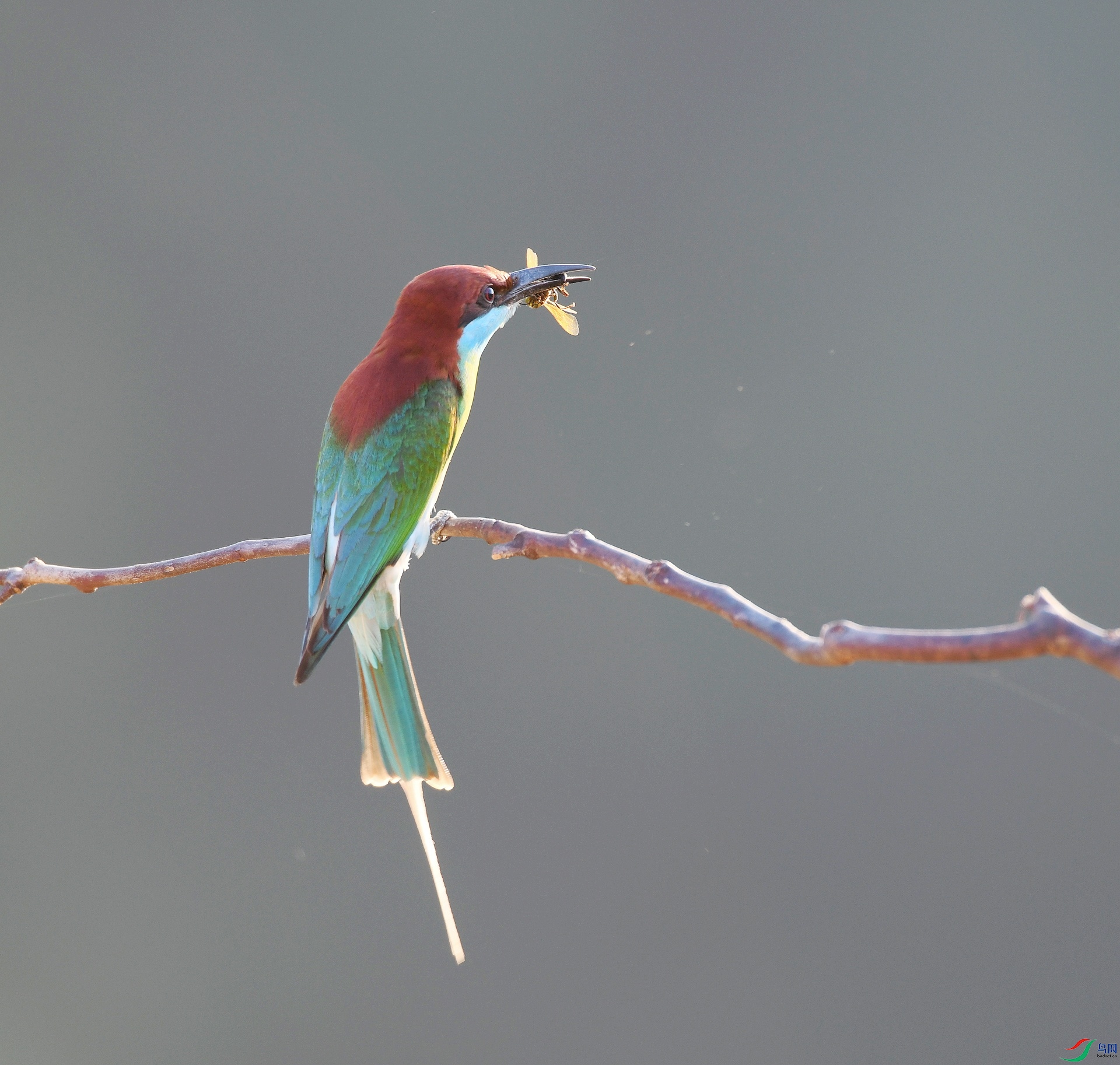 DSC_8121.jpg