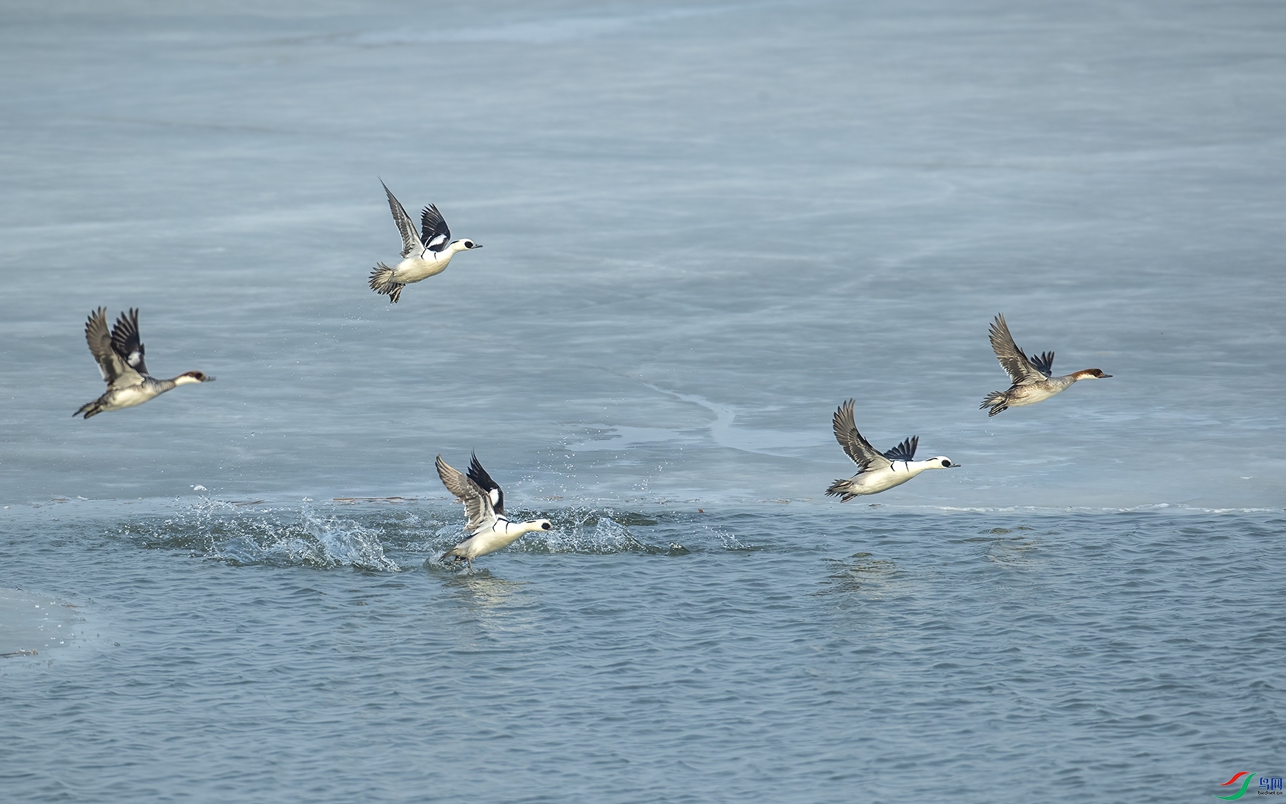 AW4I3523 ����_����.jpg