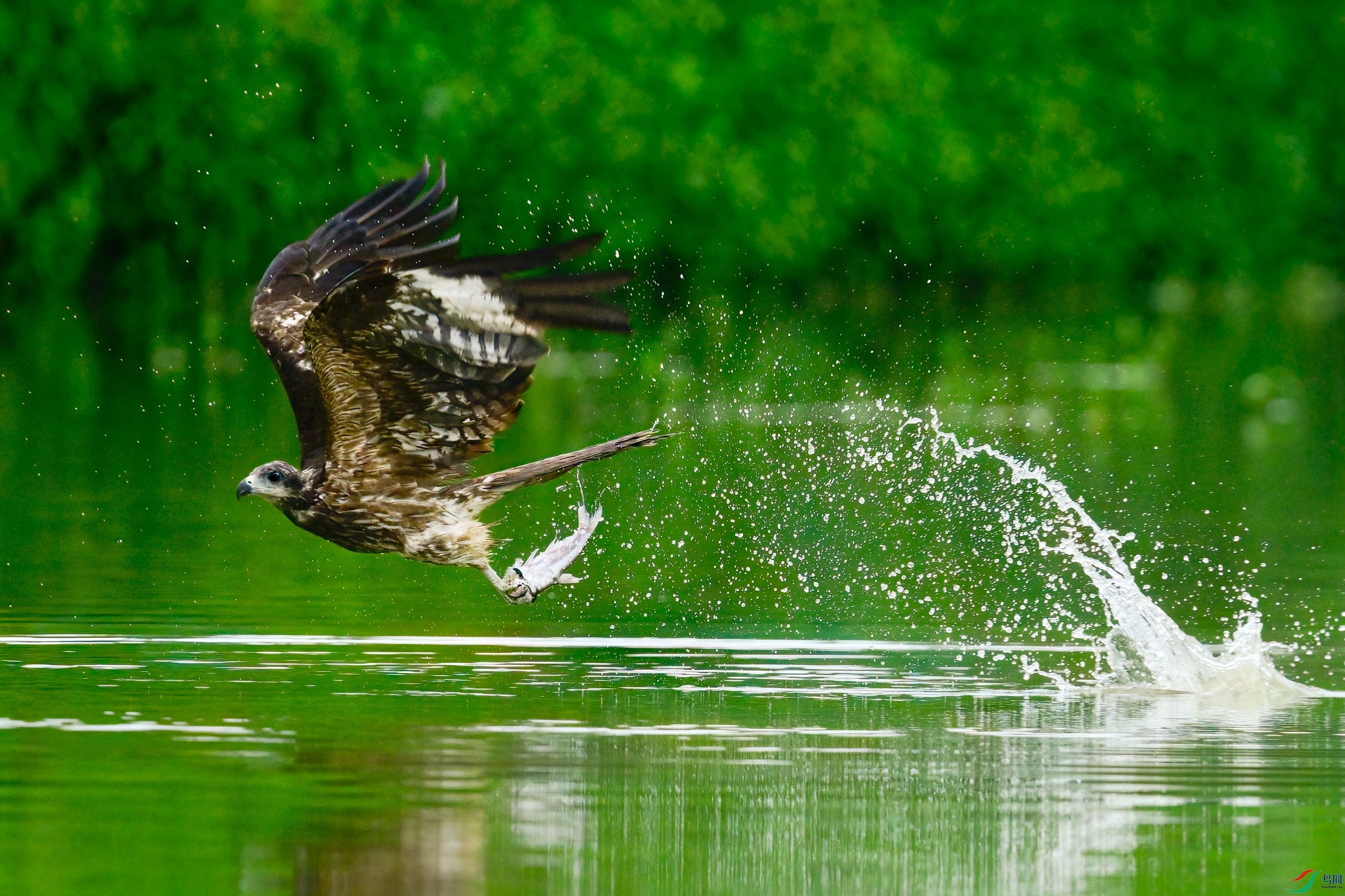 _DSC5363x.jpg