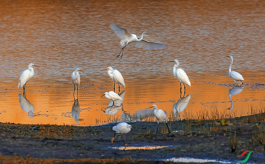_MGL8672-5.jpg