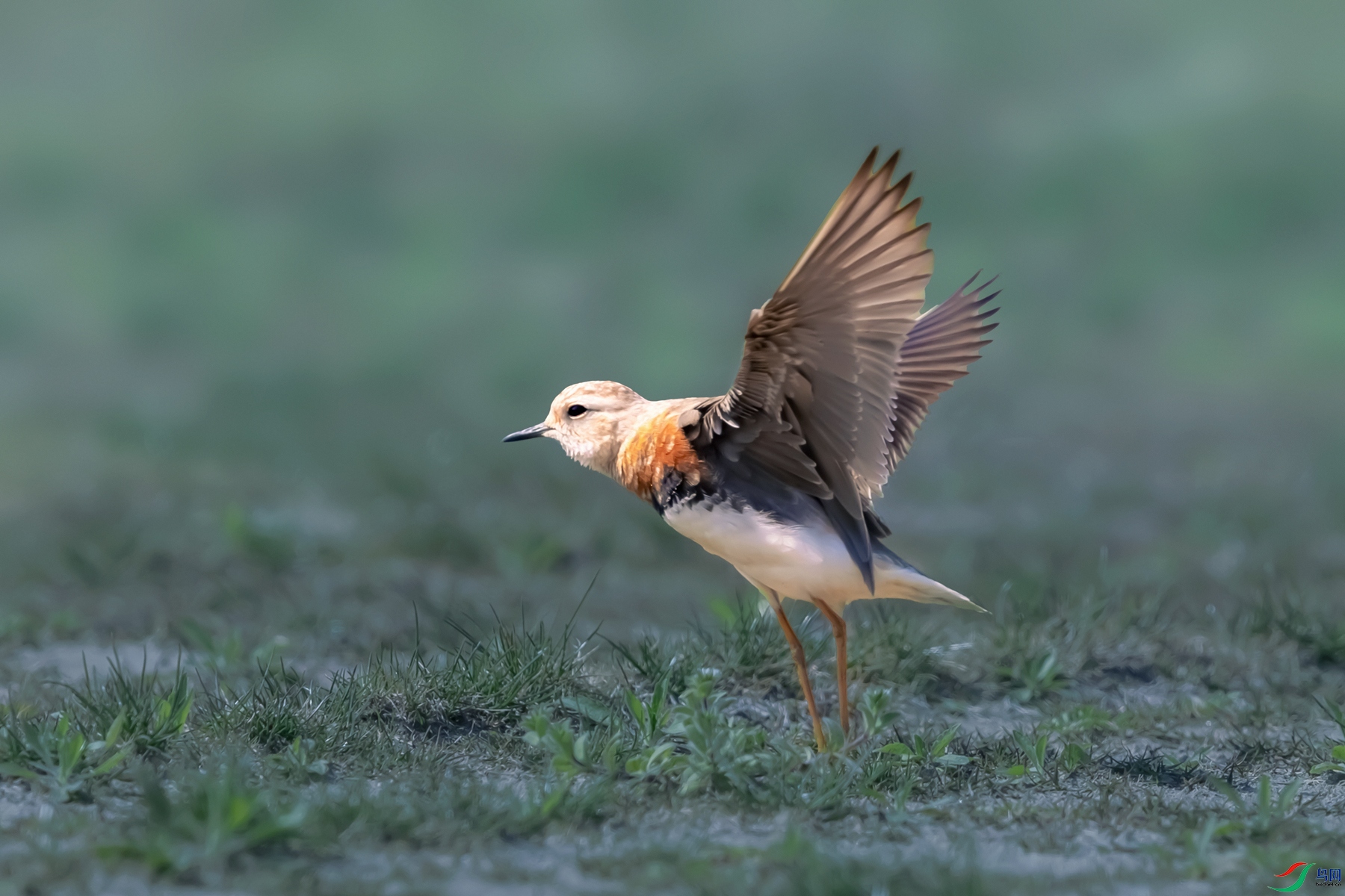 �����a----�������