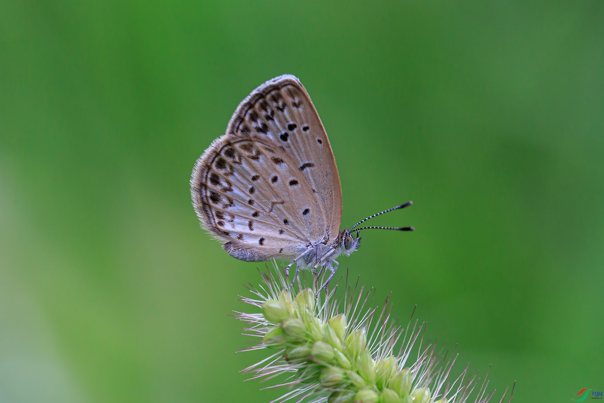 N38A2625-1.jpg