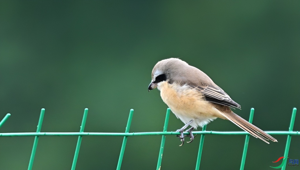 DSC_7114.JPG