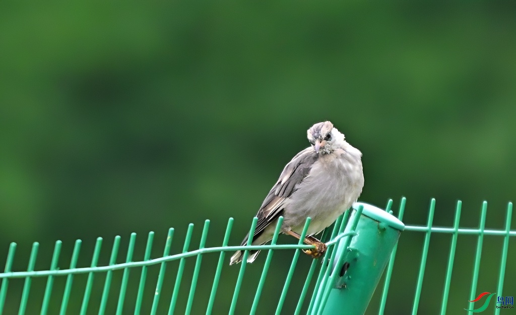 DSC_7269.JPG