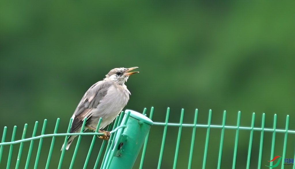 DSC_7279.JPG
