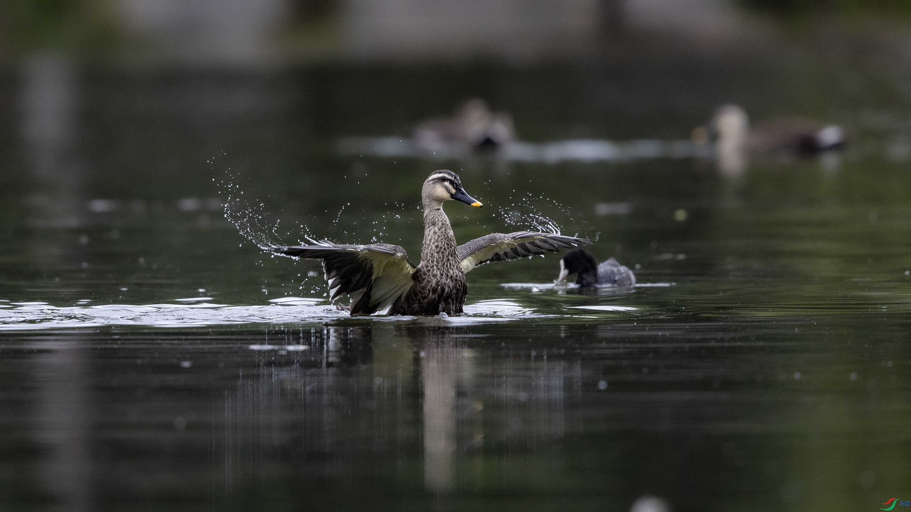 _O7A3489 ����4444445.jpg