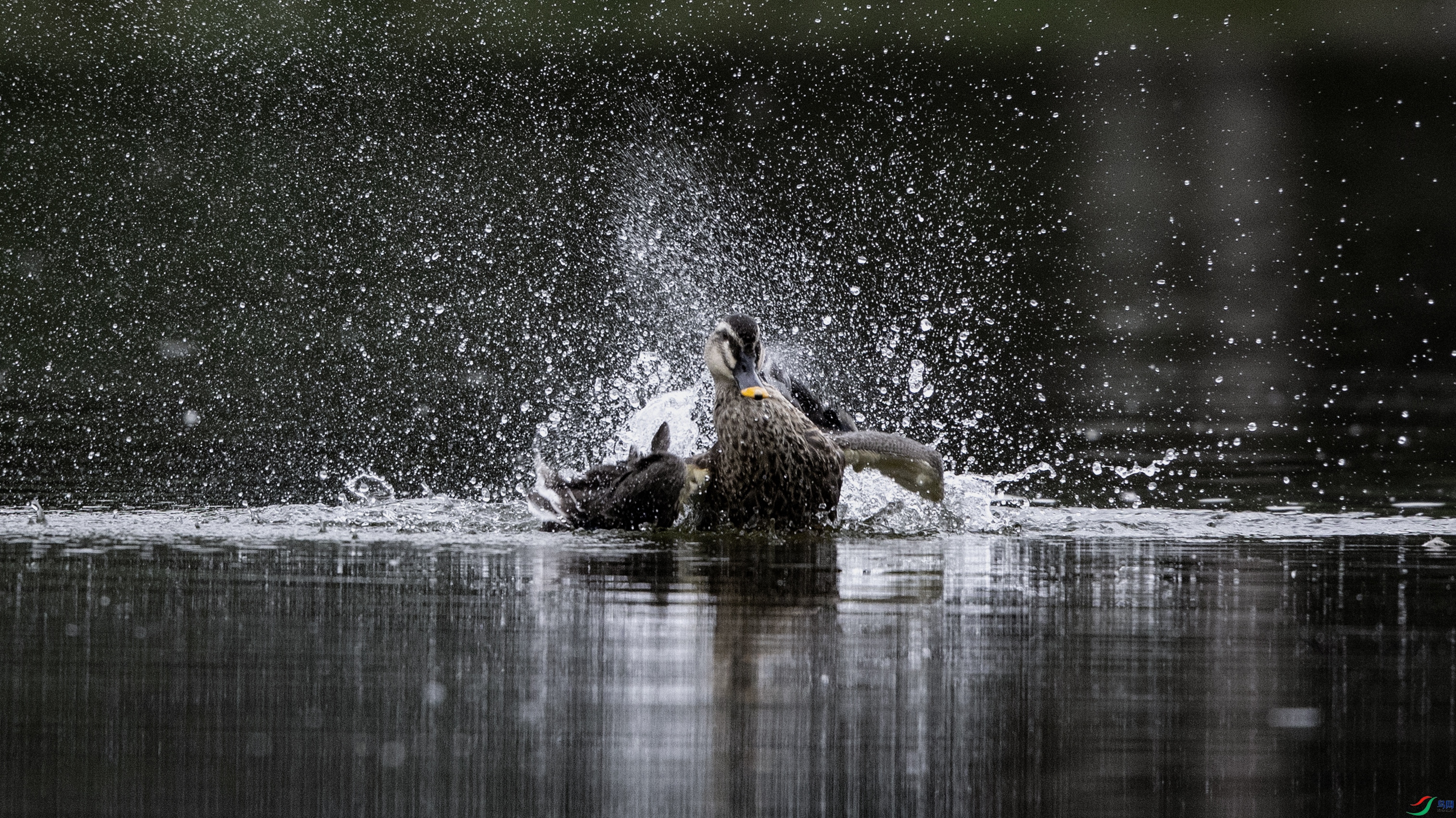 _O7A3470 ����4444.jpg