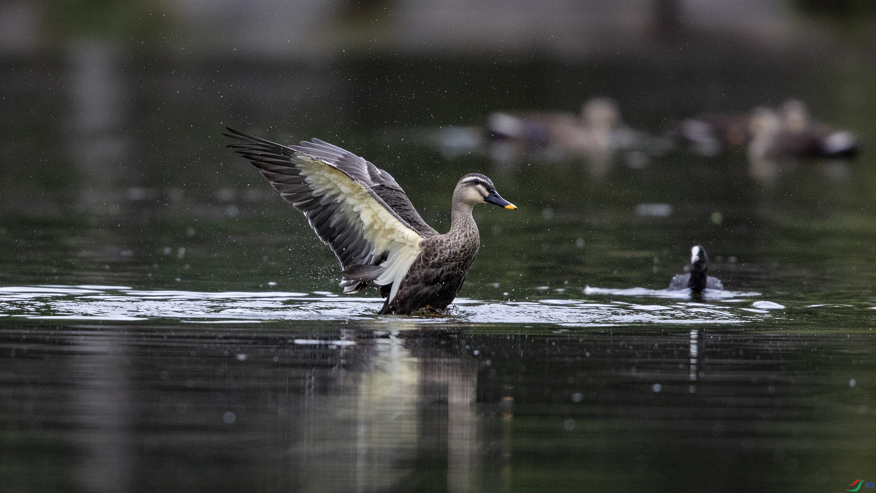 _O7A3505 ����4444.jpg