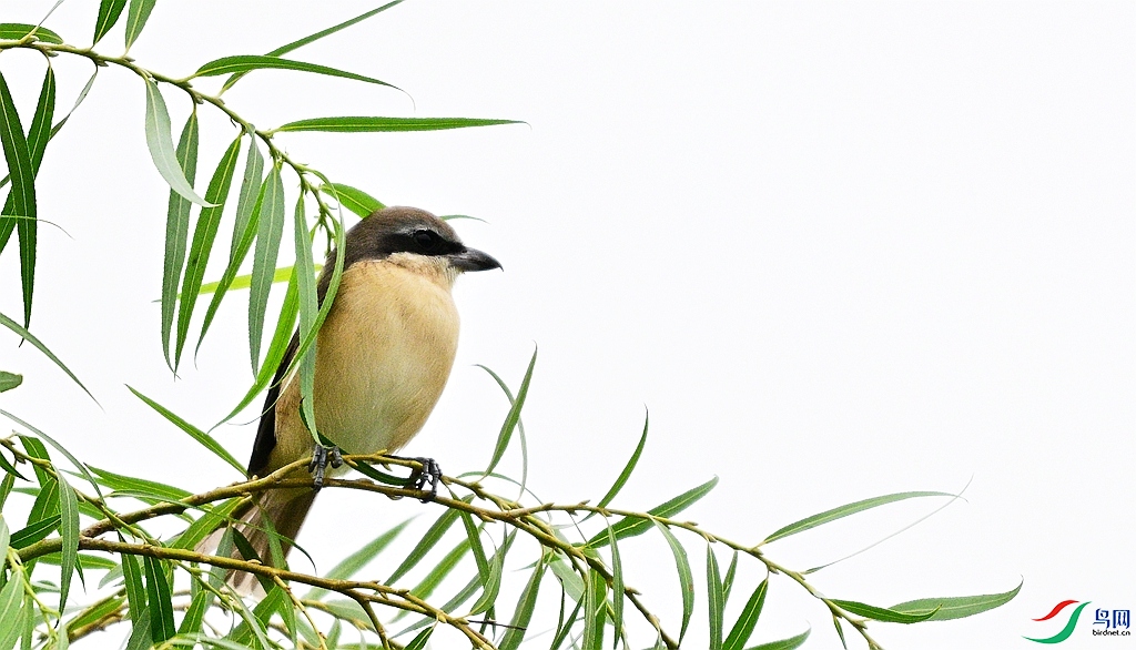 DSC_8204.JPG