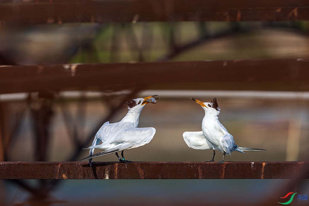 sdqdR3250820 (1034).jpg