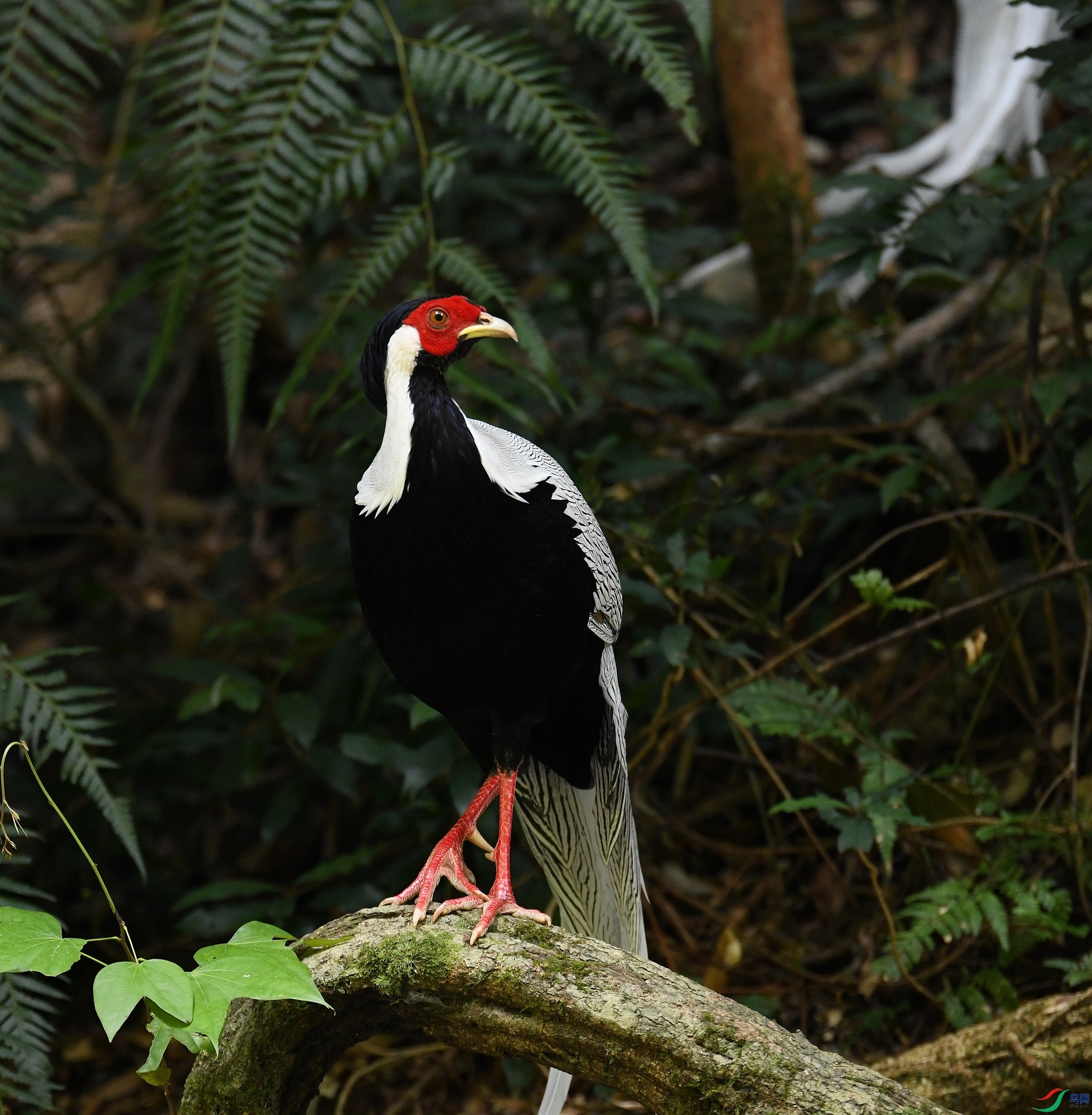DSC_6647.jpg