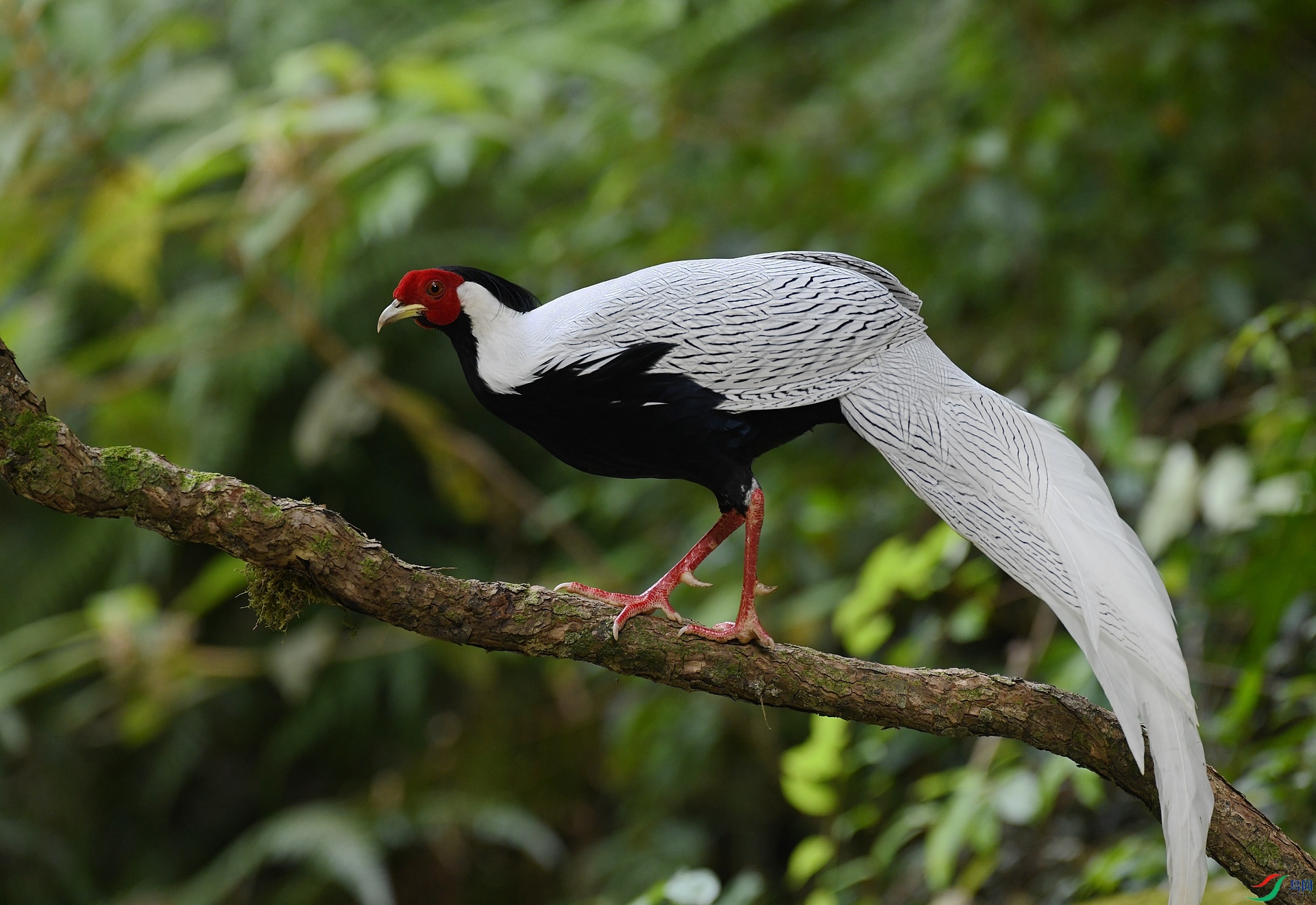DSC_7266.jpg