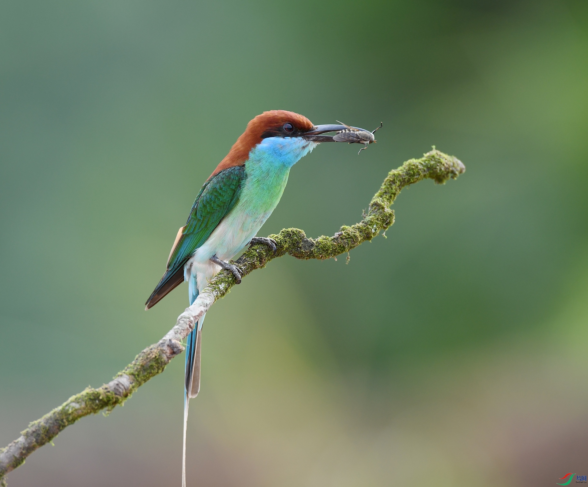 DSC_8259.jpg
