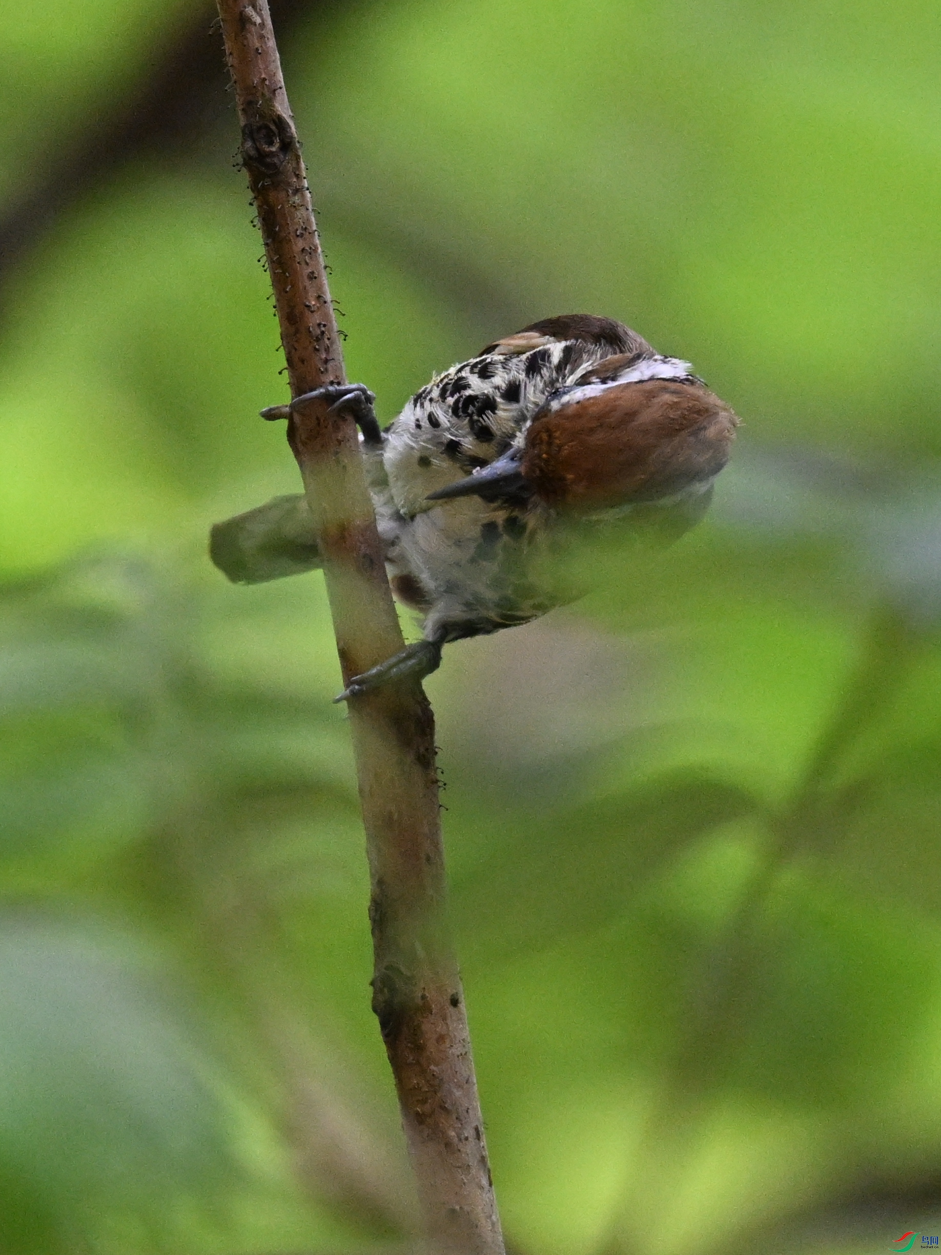 DSC_8601.JPG