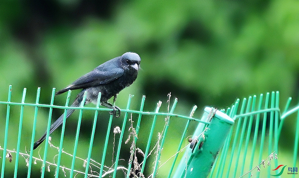 DSC_7339.JPG