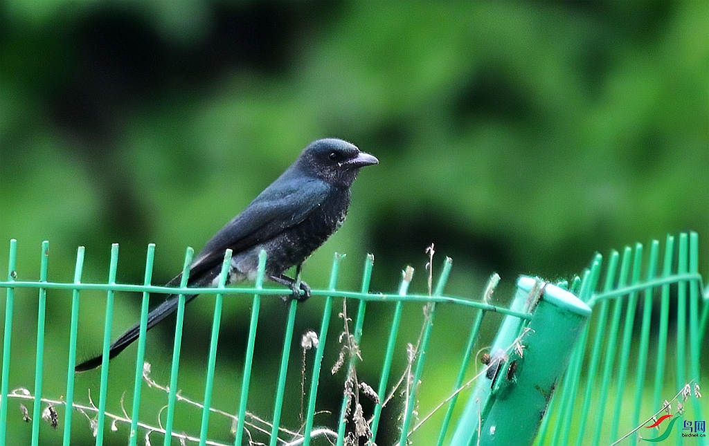 DSC_7343.JPG